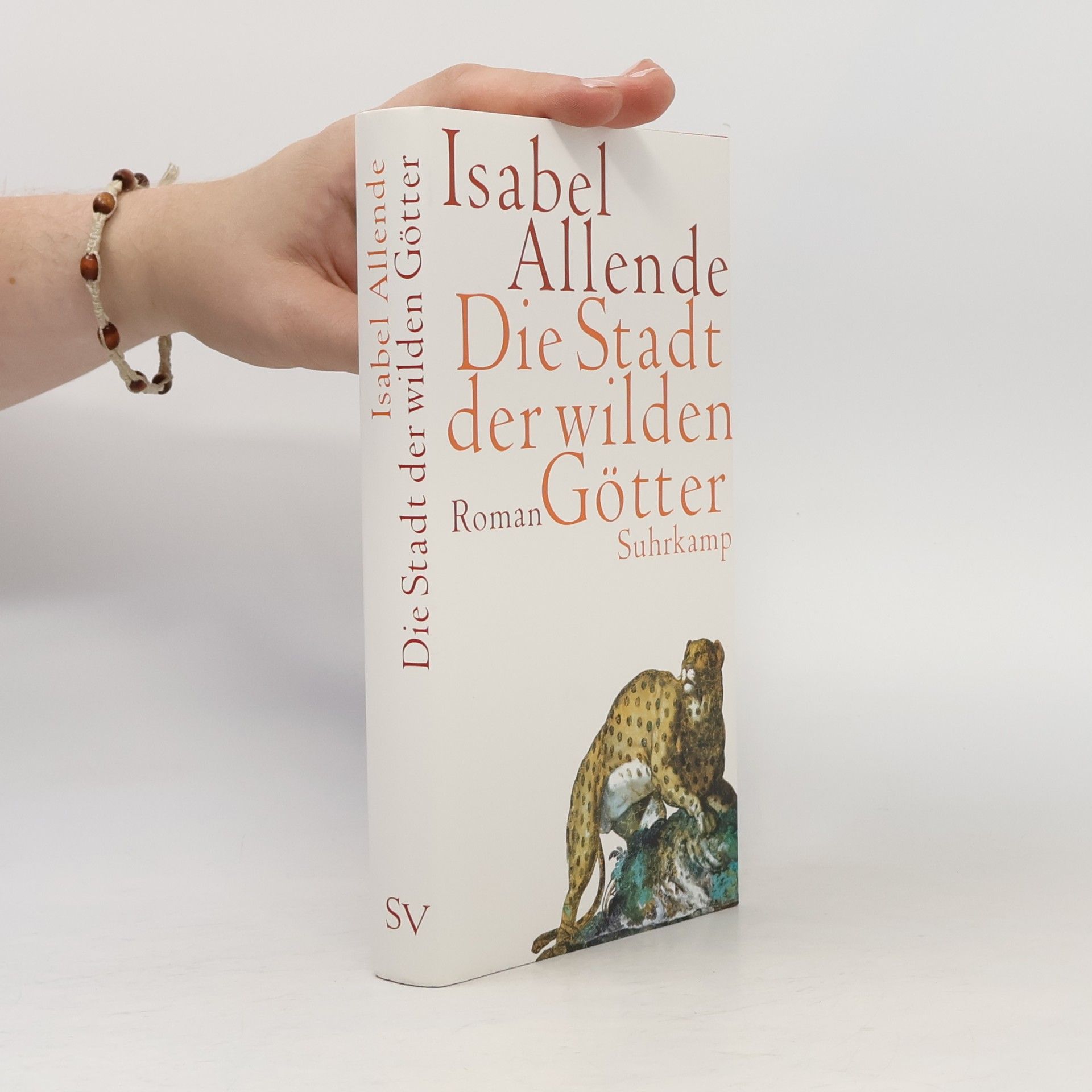Isabel Allende Die Stadt der wilden Götter