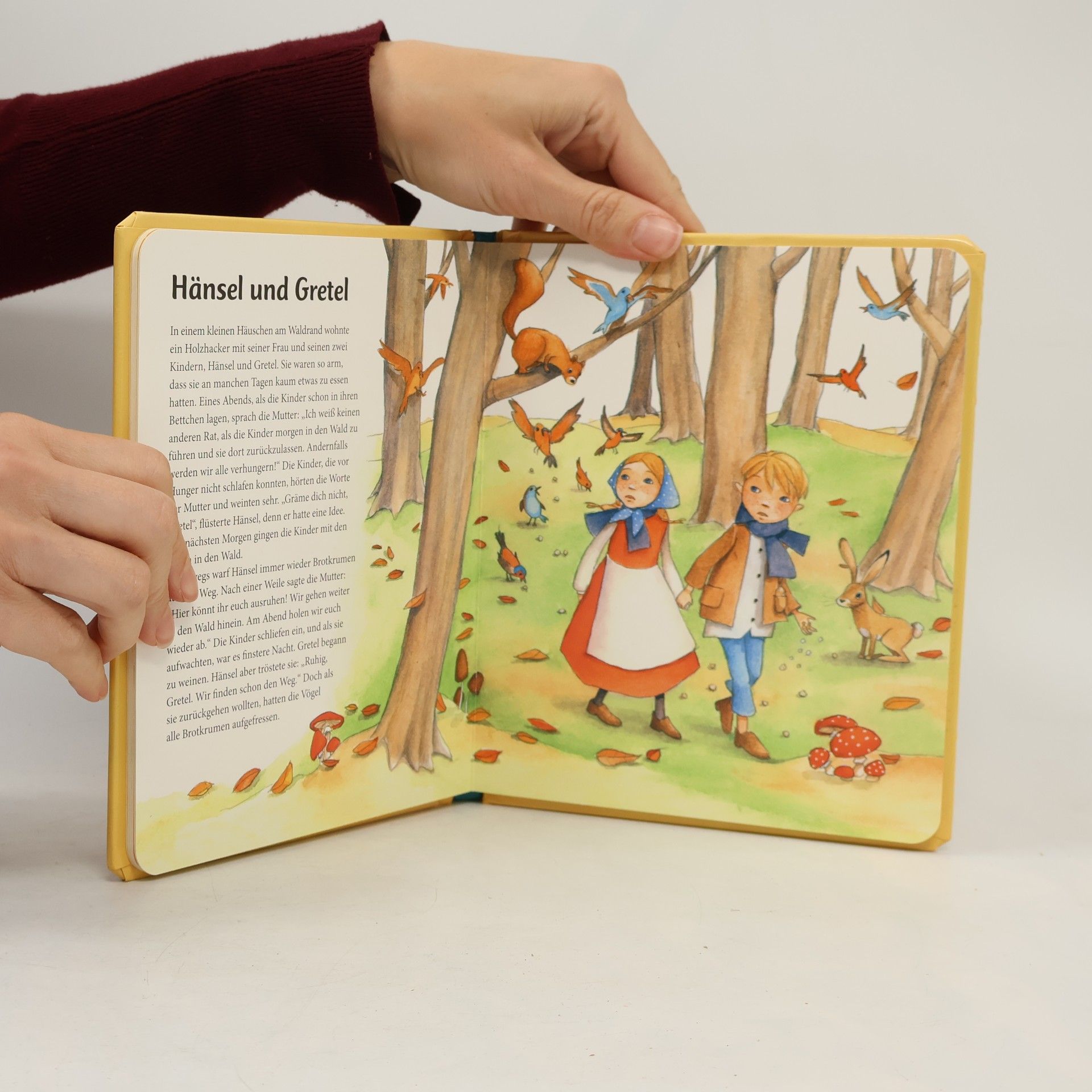 bratři Grimmové Märchen für kleine Träumer