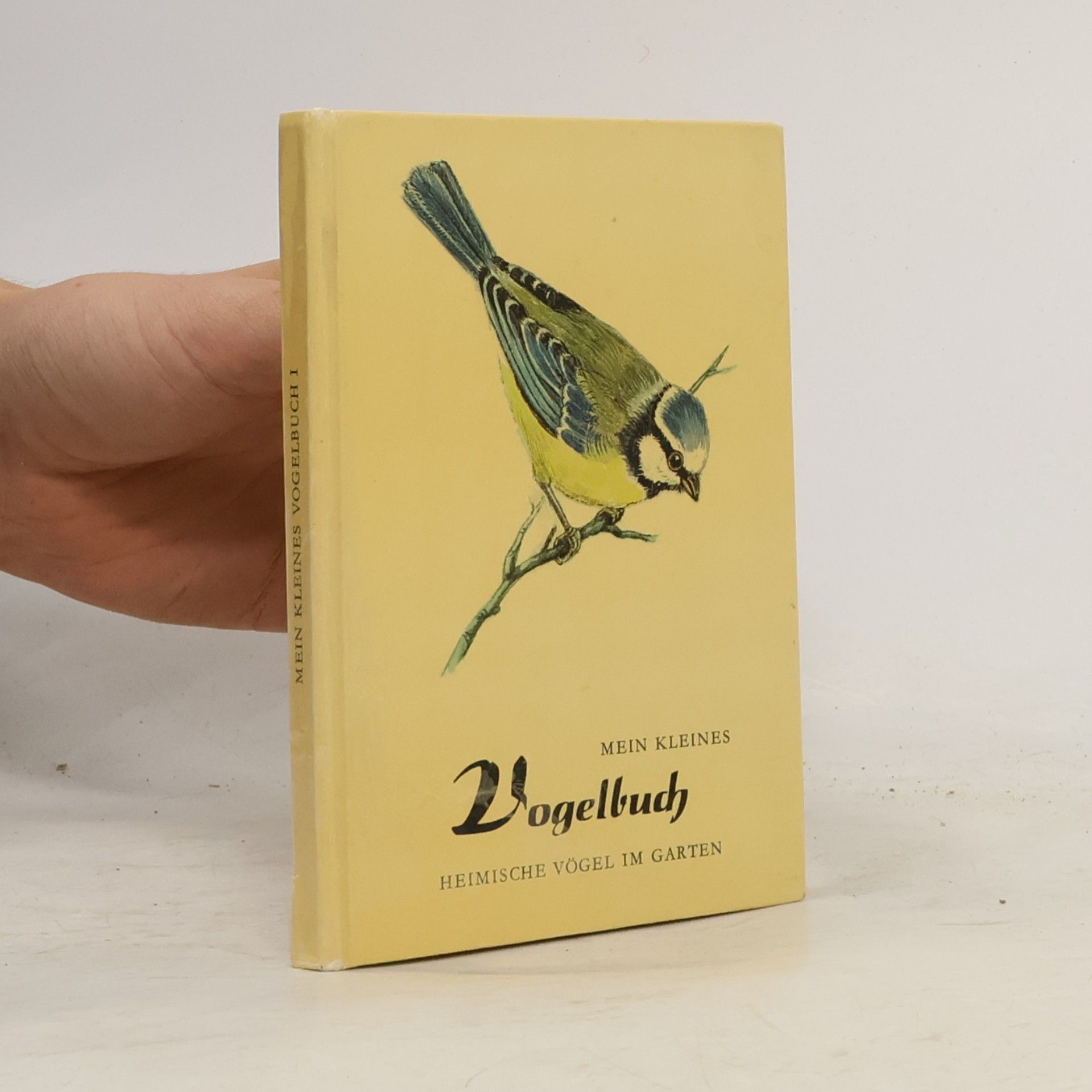 Autorenkollektiv Mein kleines Vogelbuch I