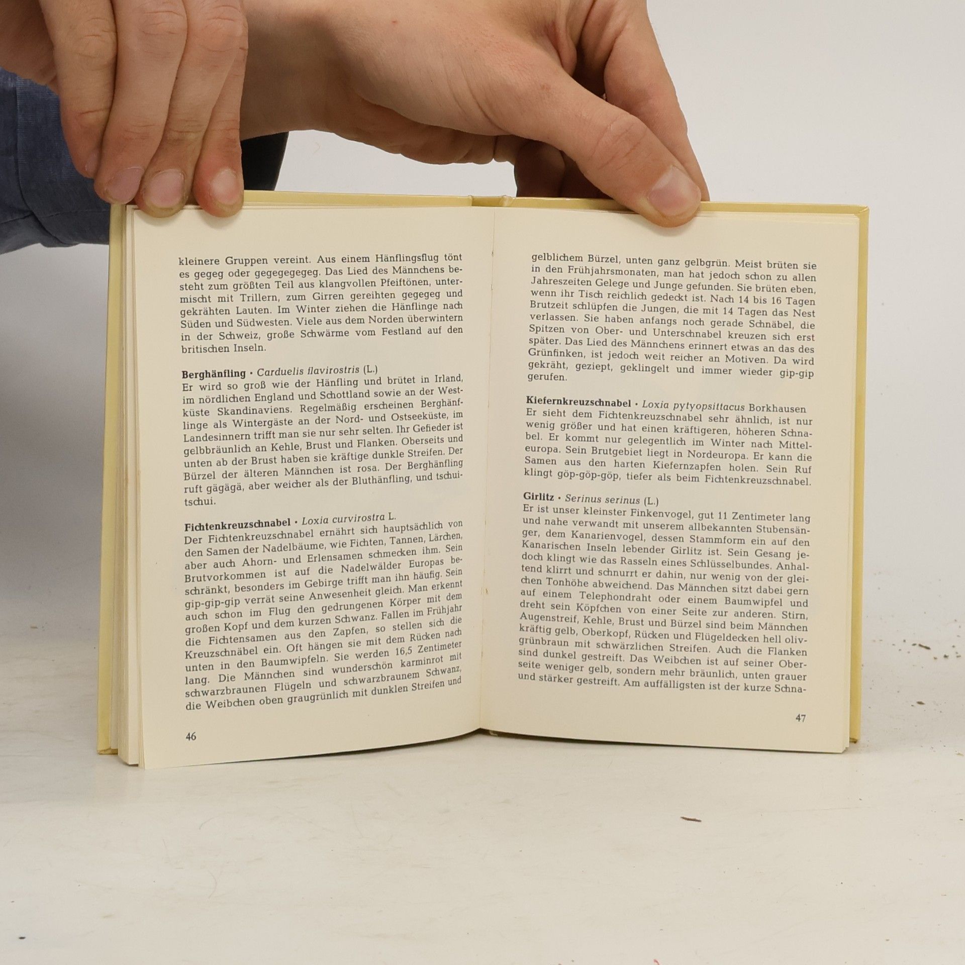 Kolektiv autorů Mein kleines Vogelbuch I