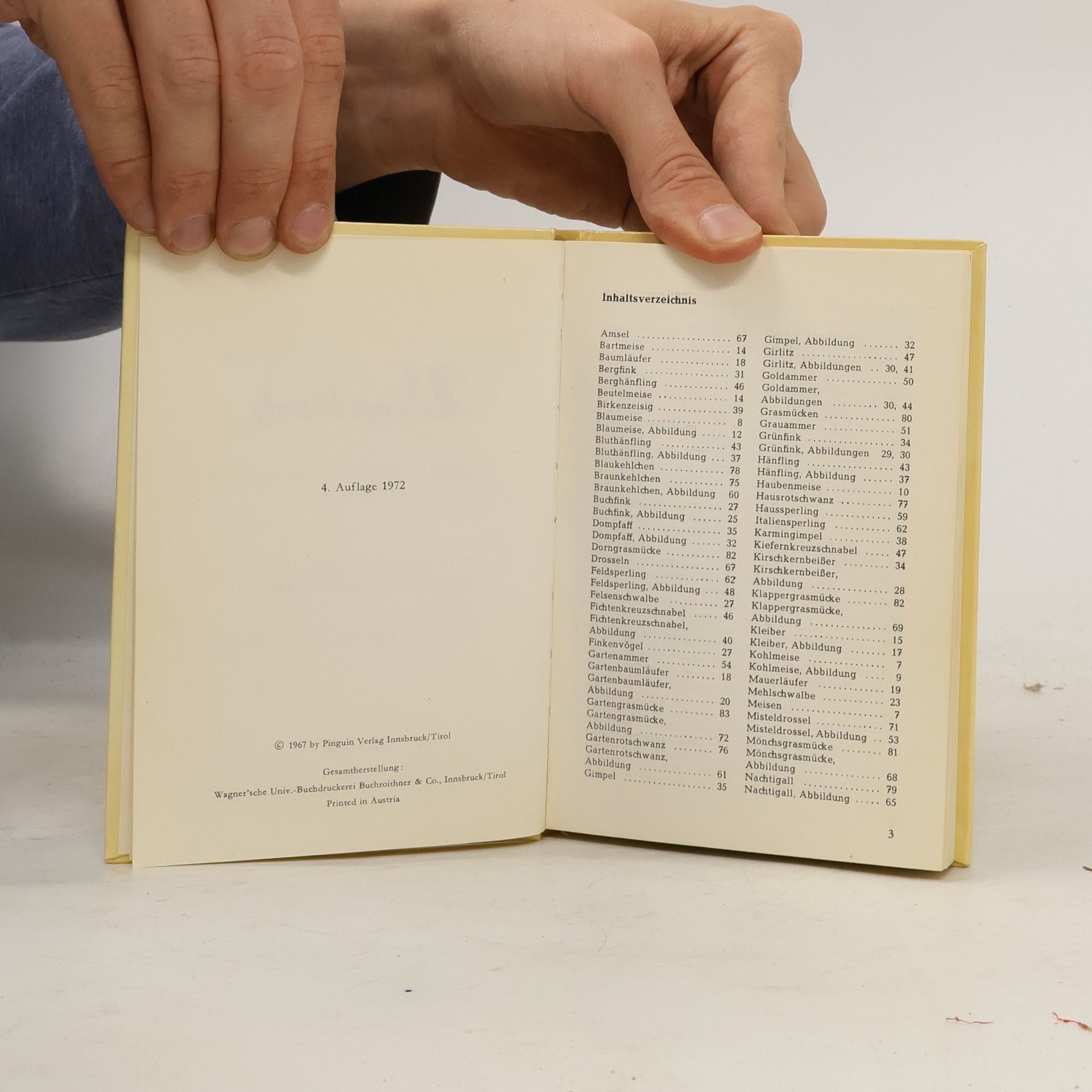 Kolektiv autorů Mein kleines Vogelbuch I