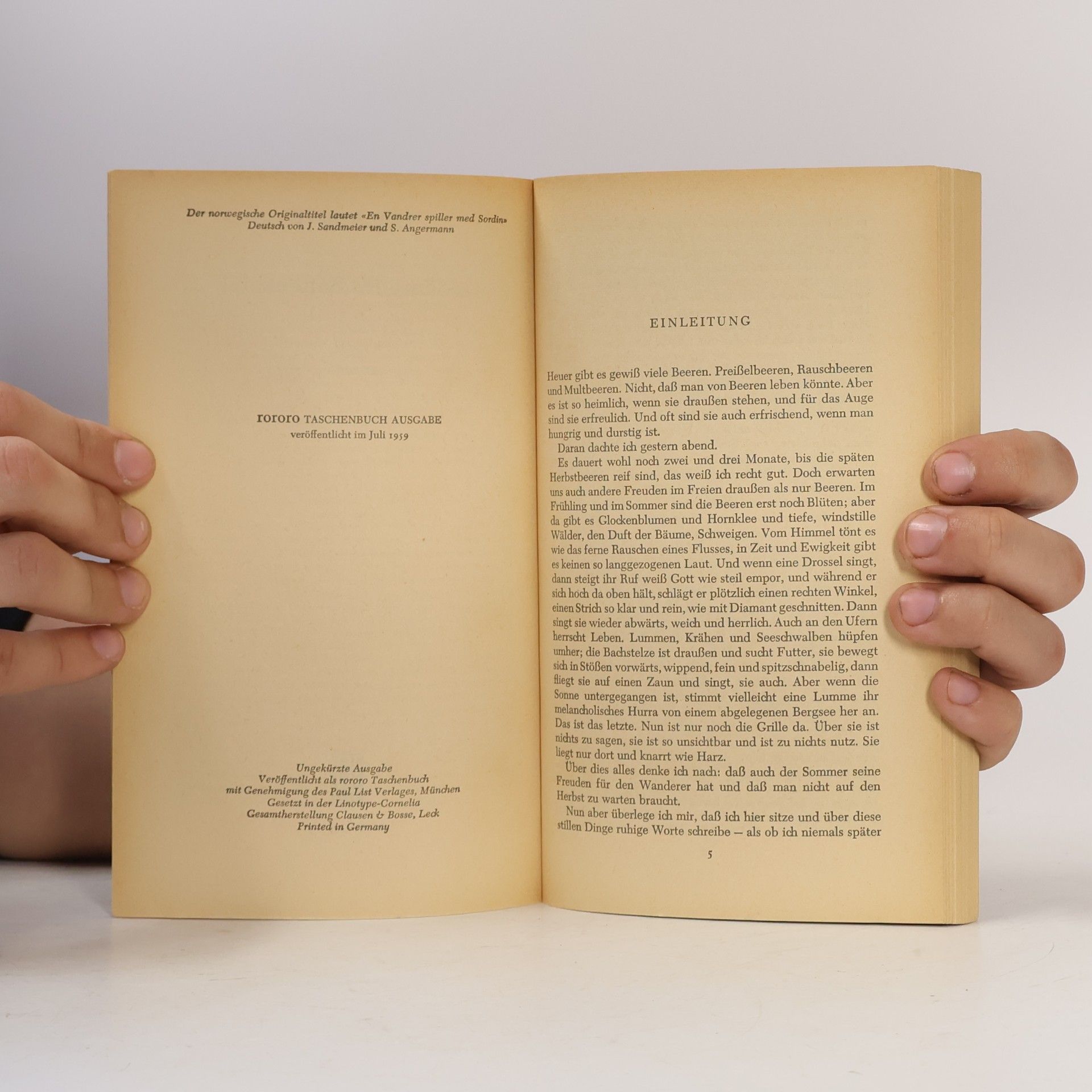 Knut Hamsun Gedämpftes Saitenspiel