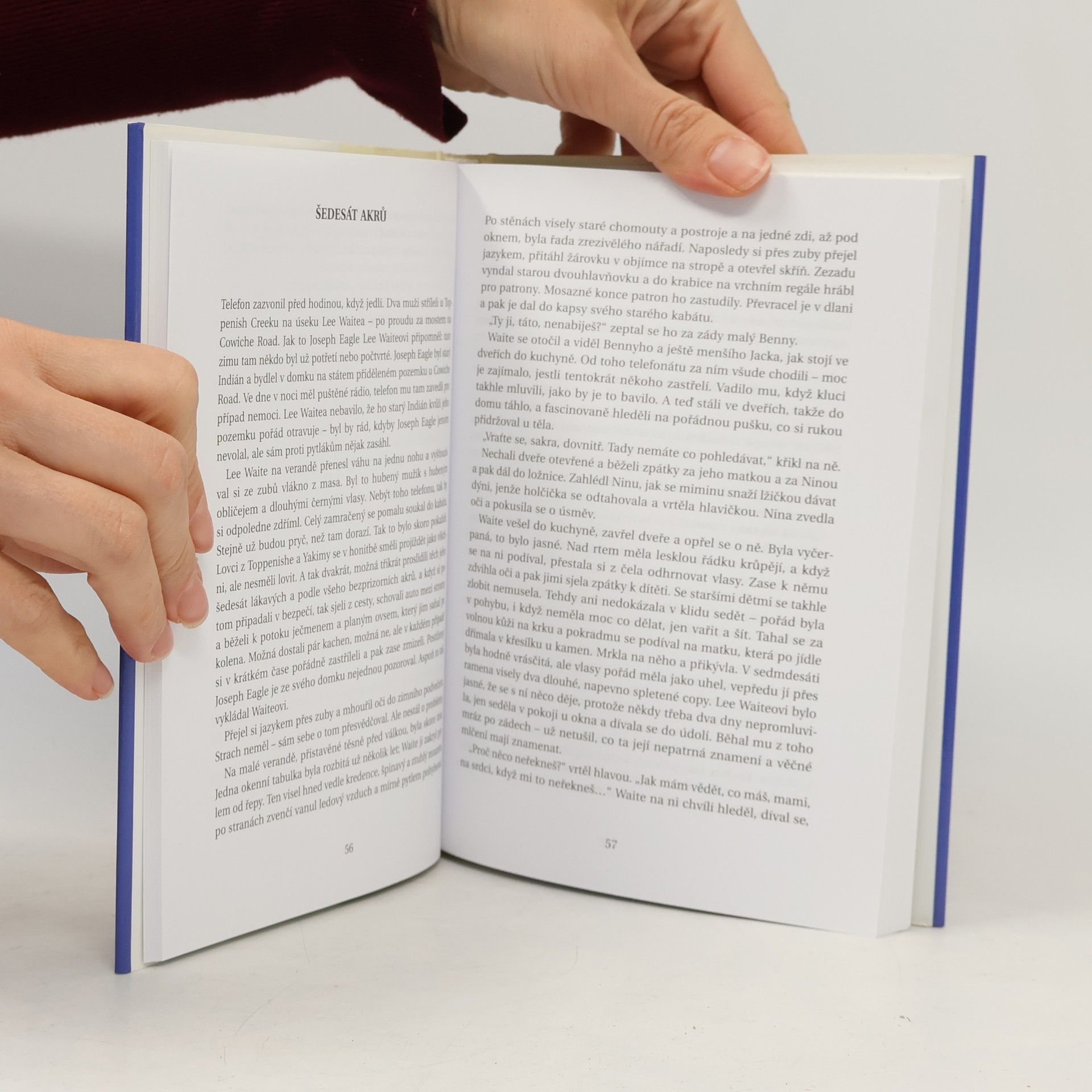 Raymond Carver Buď už, prosím tě, zticha