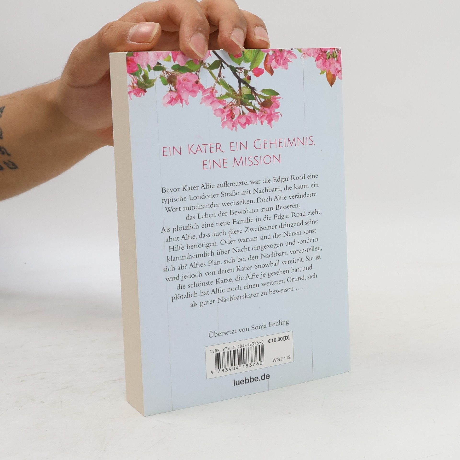 Rachel Wells Alfie - Retter auf Samtpfoten