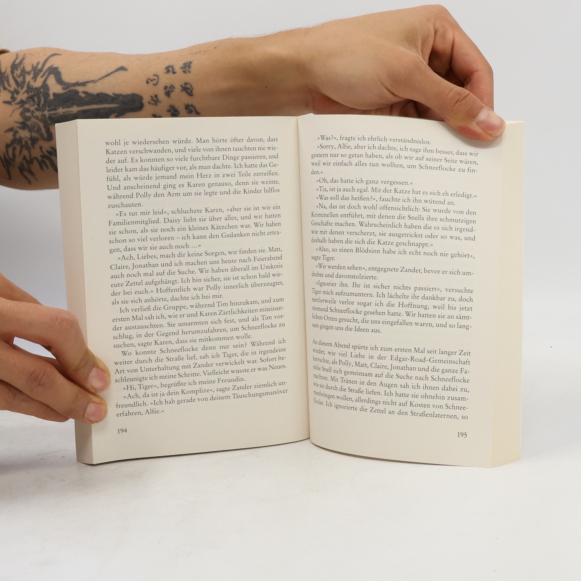 Rachel Wells Alfie - Retter auf Samtpfoten