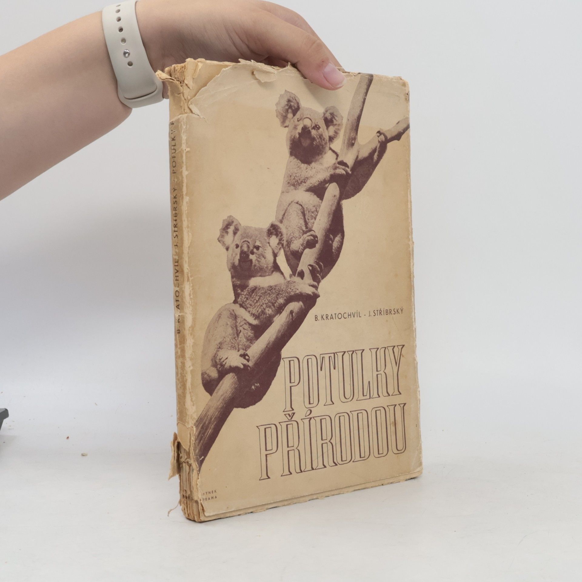Jan Stříbrský Potulky přírodou. Přírodopisné črty