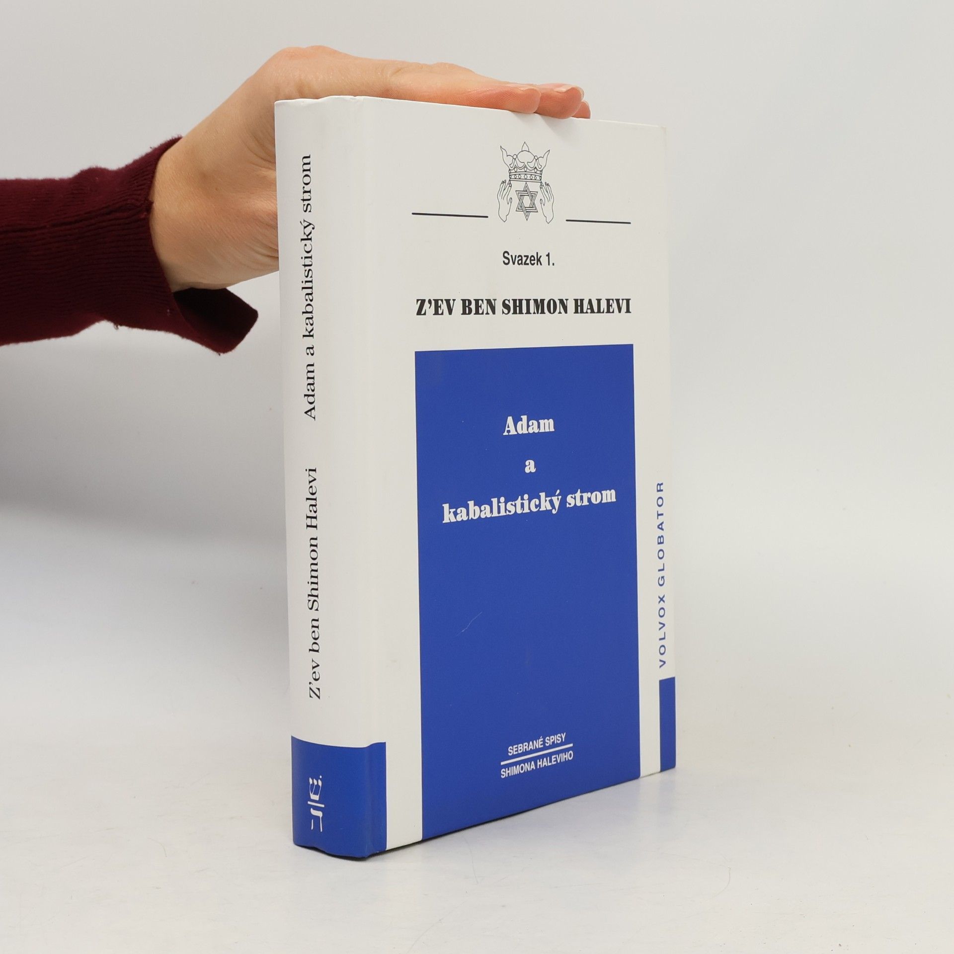 Zev Ben-Shimon Halevi Adam a kabalistický strom