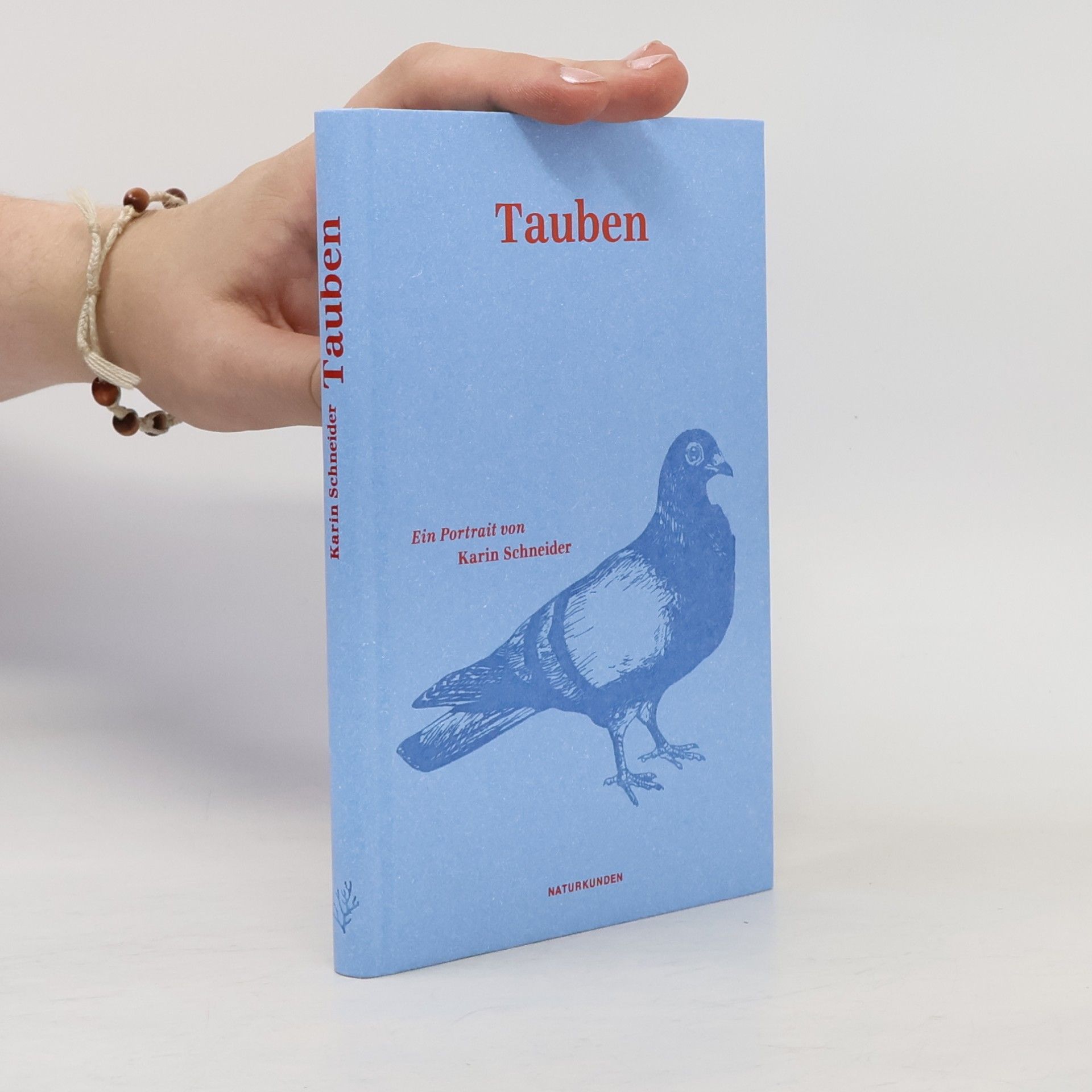 Karin Schneider Tauben
