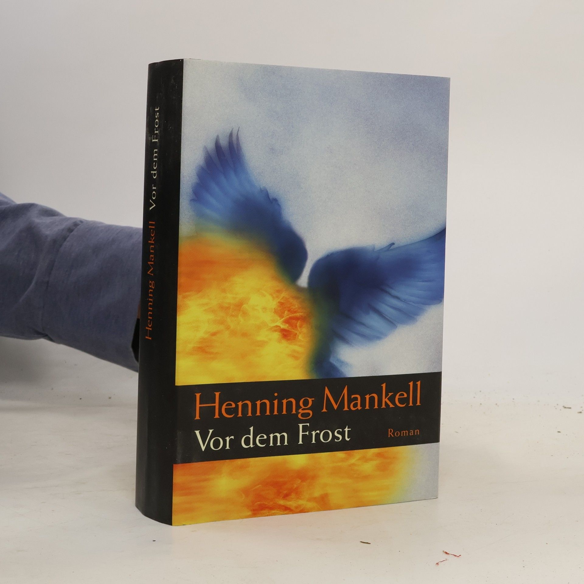 Henning Mankell Vor dem Frost