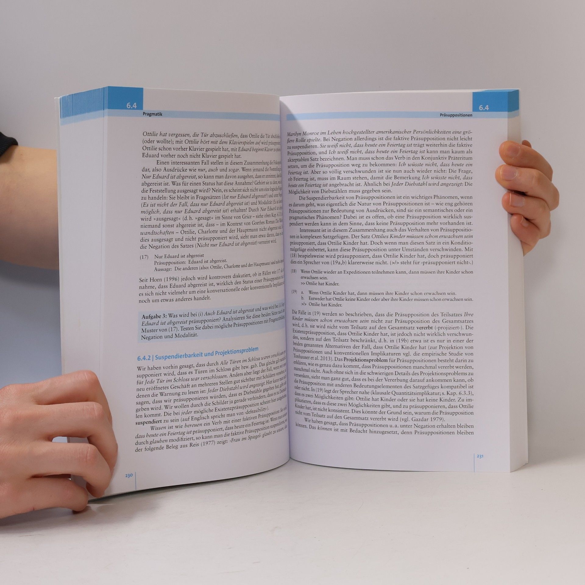 Jörg Meibauer Einführung in die germanistische Linguistik