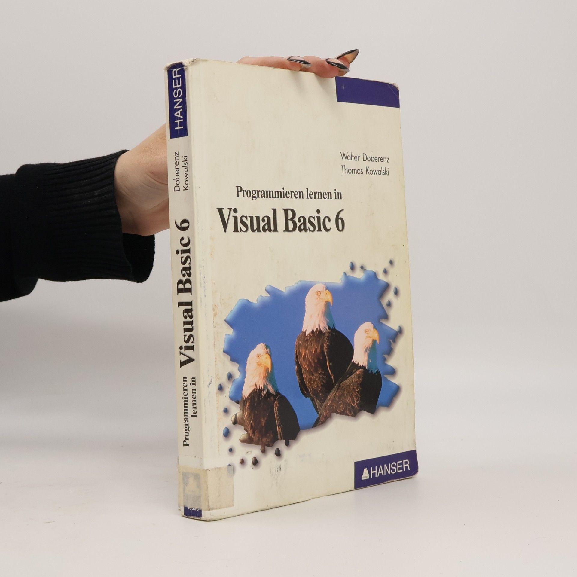 Programmieren lernen in Visual Basic 6