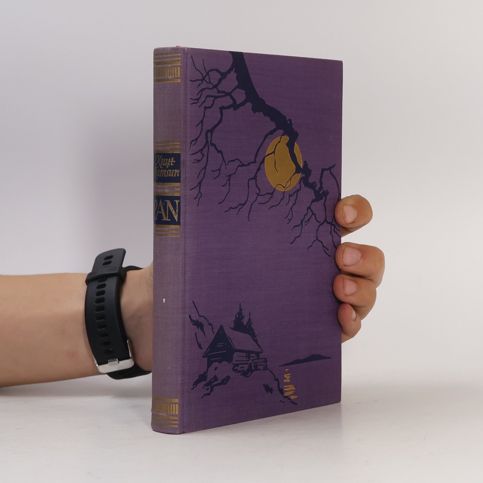 Knut Hamsun Pan