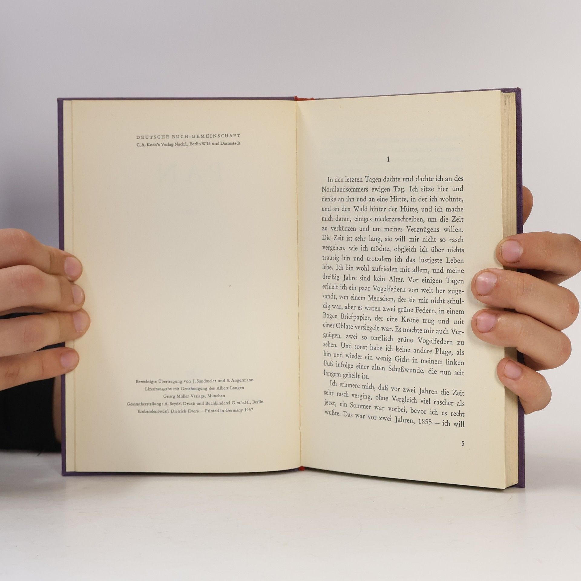 Knut Hamsun Pan