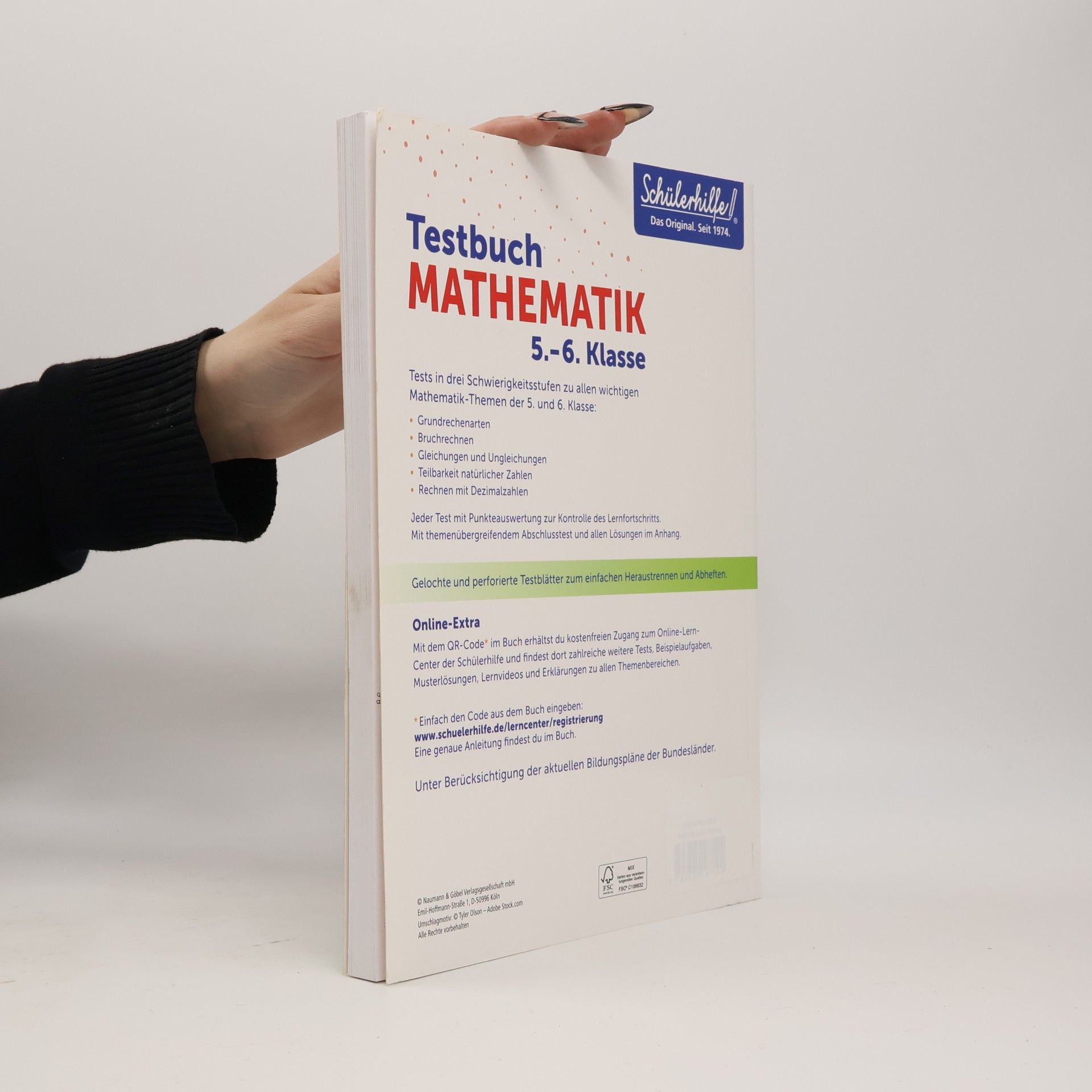 Ludwig Testbuch Mathematik 5./6. Klasse