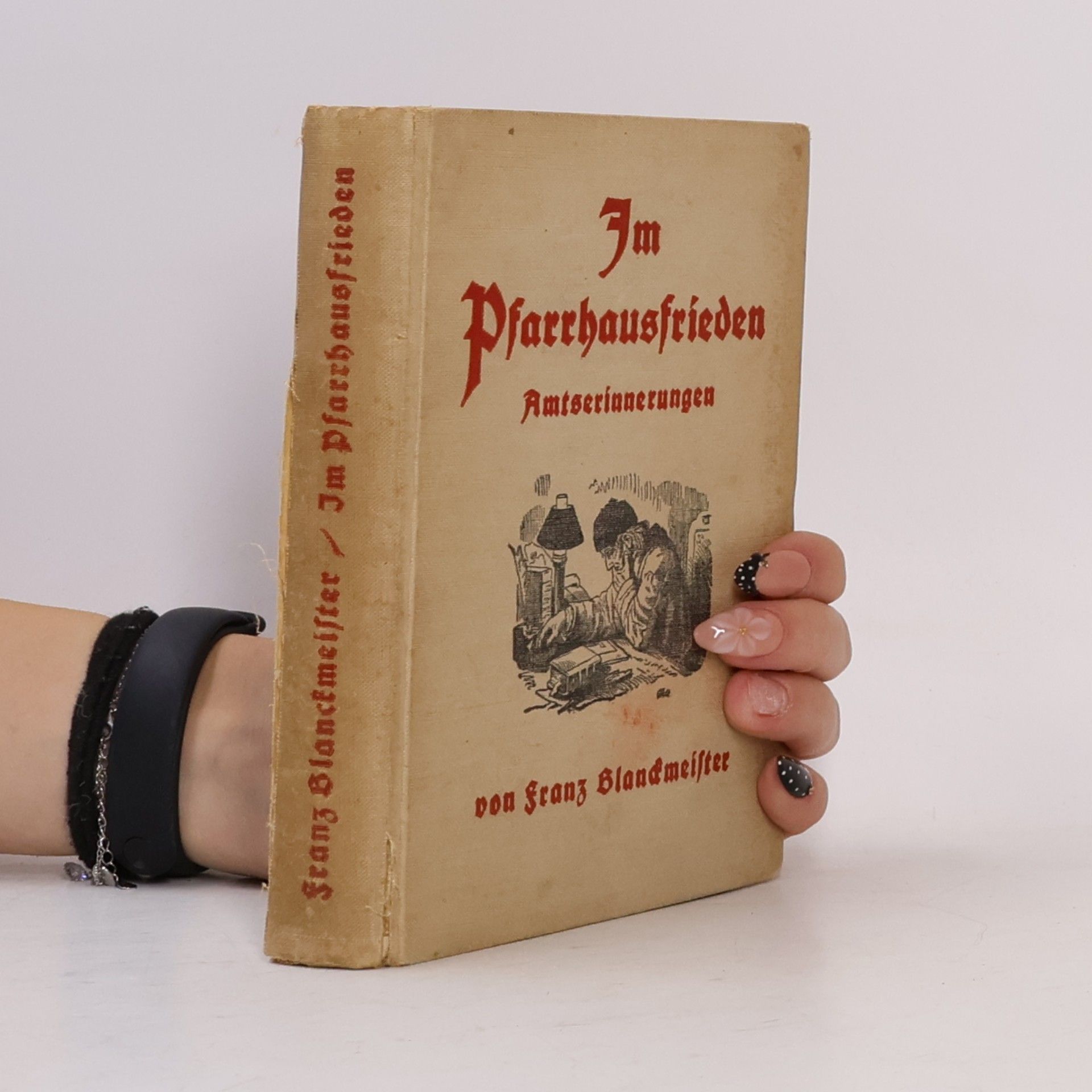 Im Pfarrhausfrieden Amtserinnerungen