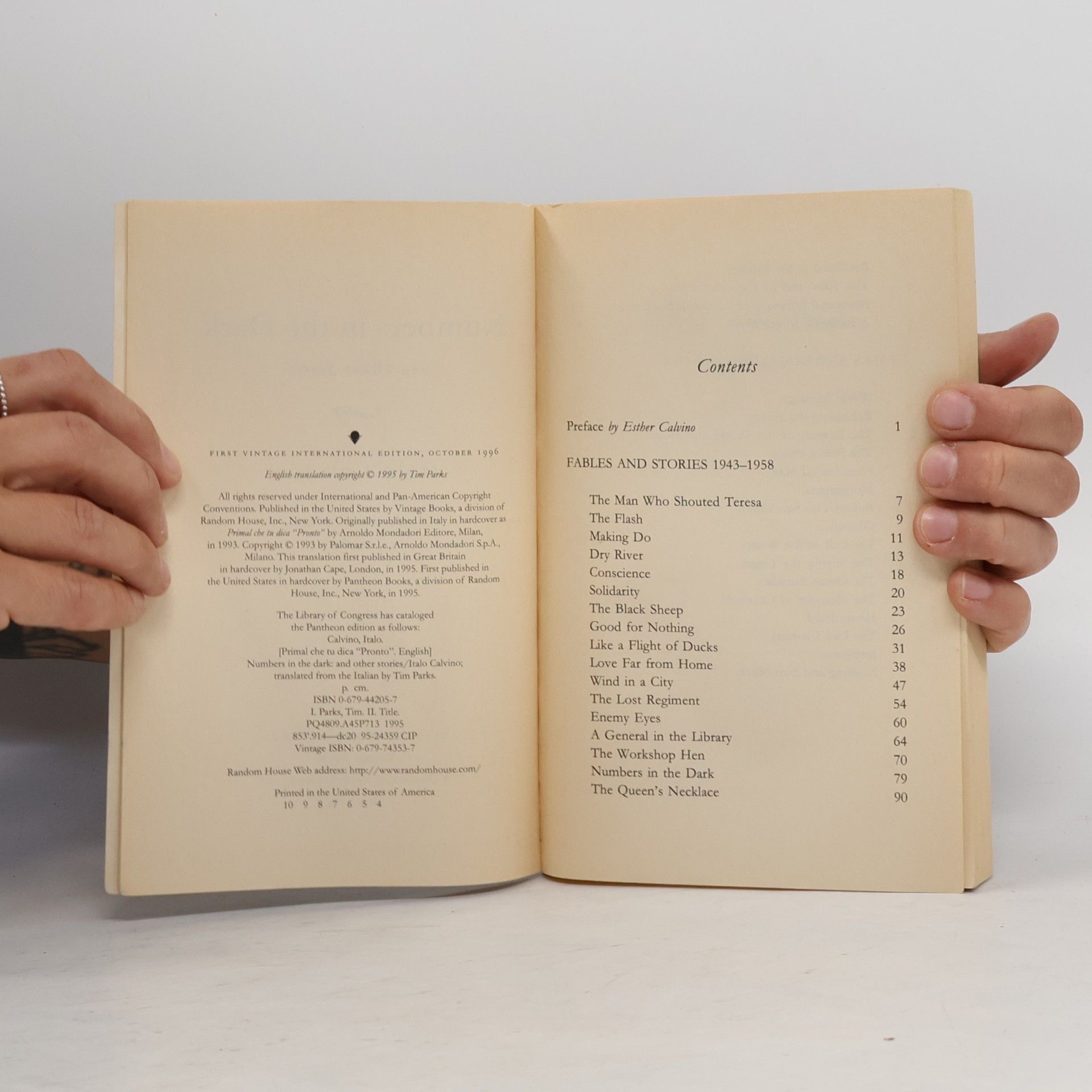 Italo Calvino Numbers In The Dark And Other Stories