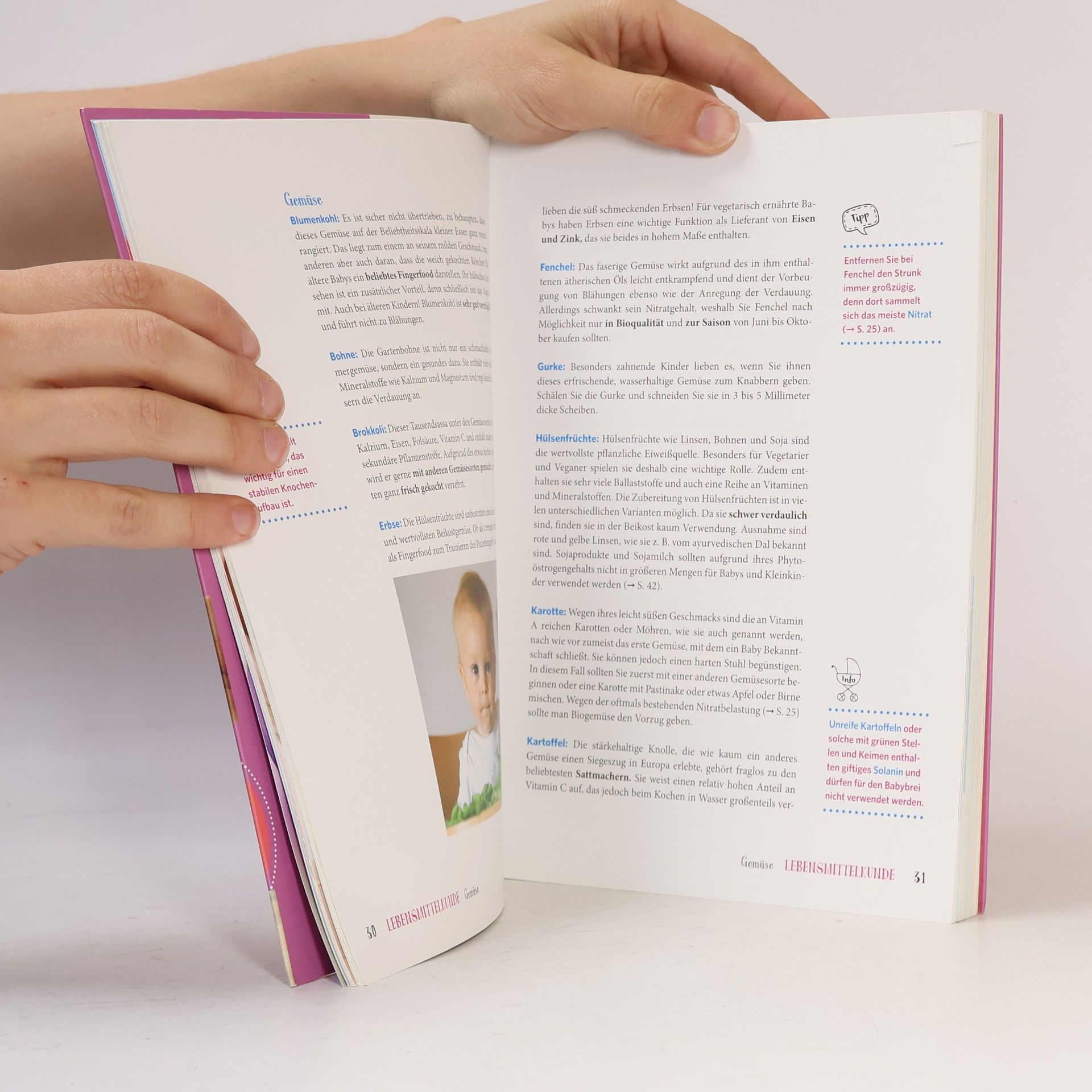 Natalie Stadelmann Das große Buch von Babybrei & Beikost