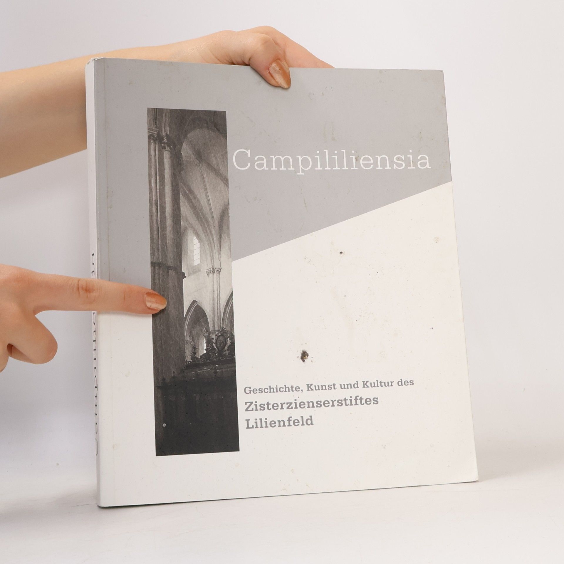 Pius Maurer Campililiensia