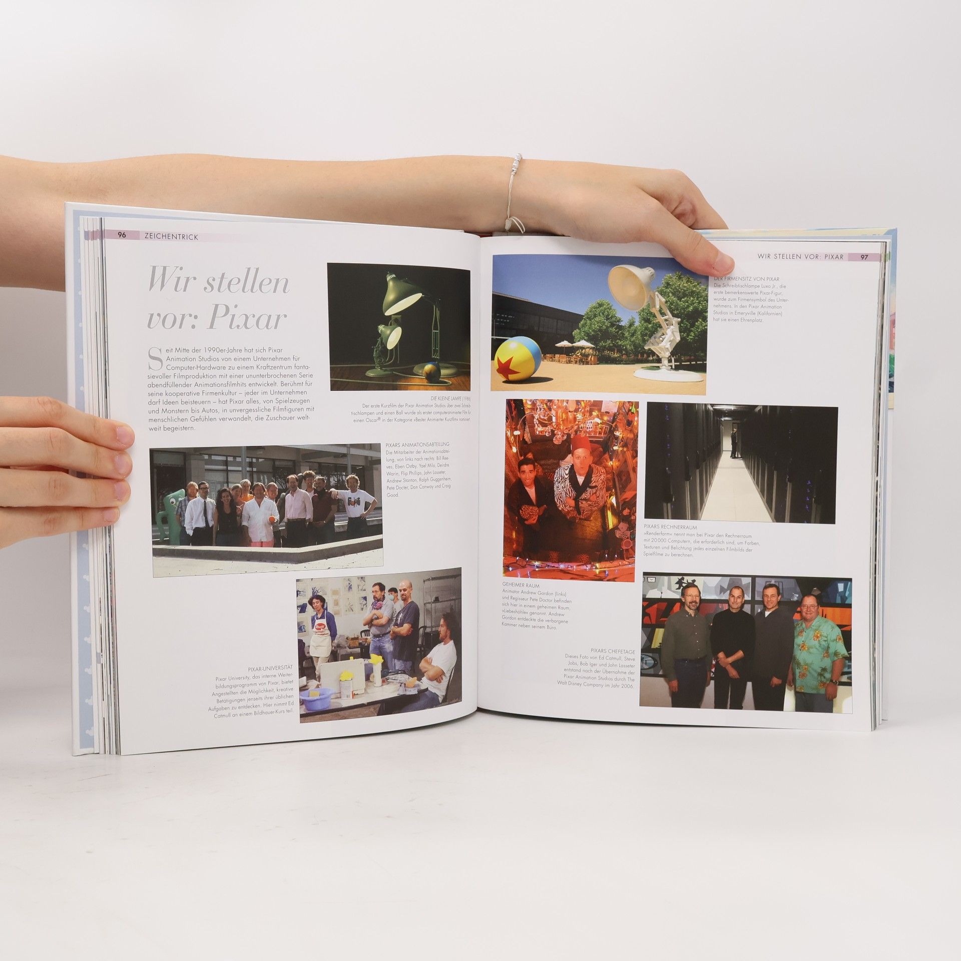 Autorenkollektiv Das Disney Buch