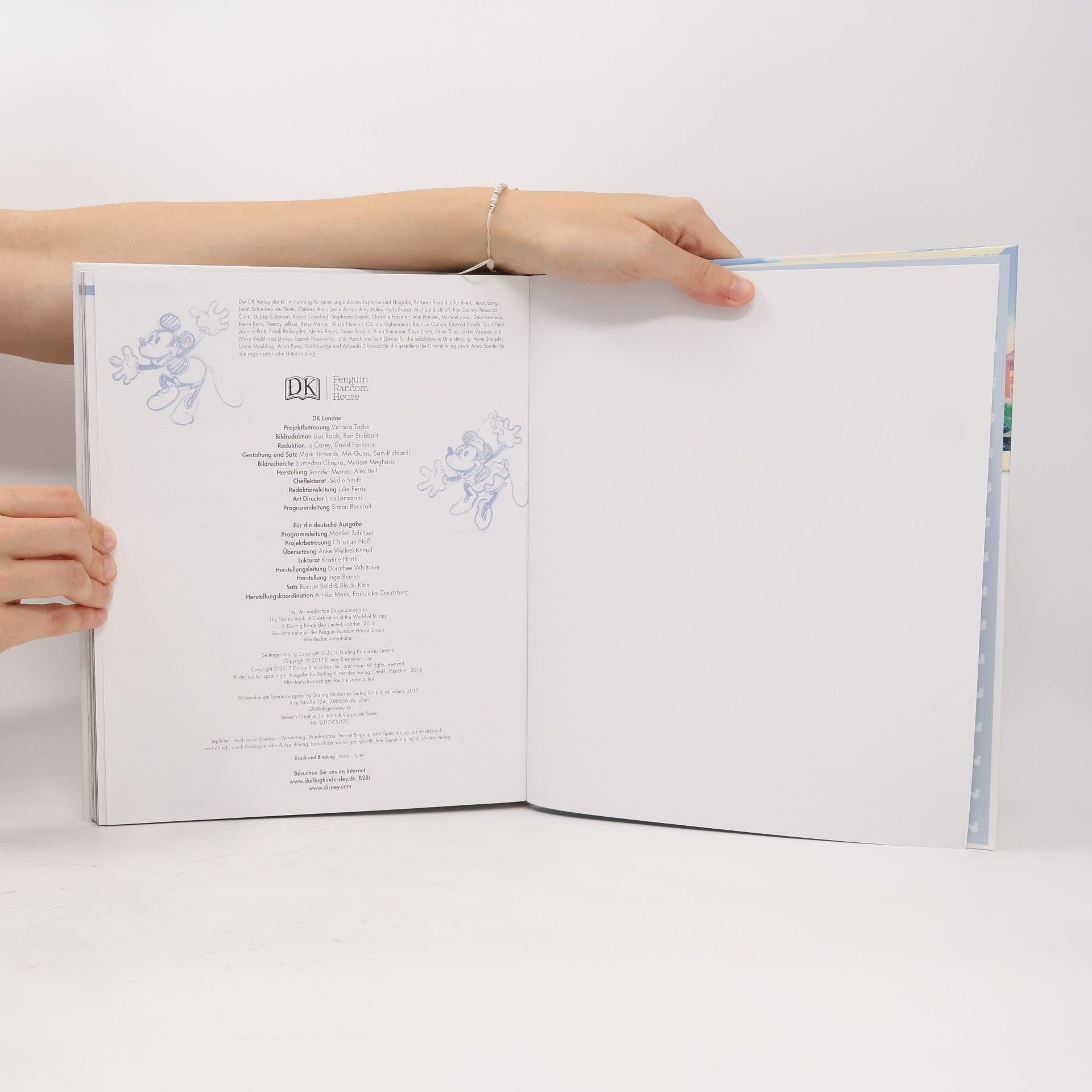 Autorenkollektiv Das Disney Buch