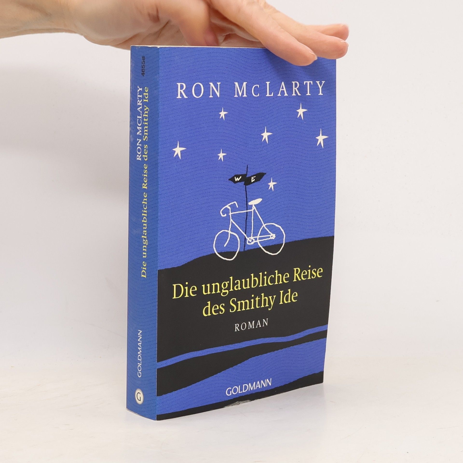 Ron McLarty Die unglaubliche Reise des Smithy Ide