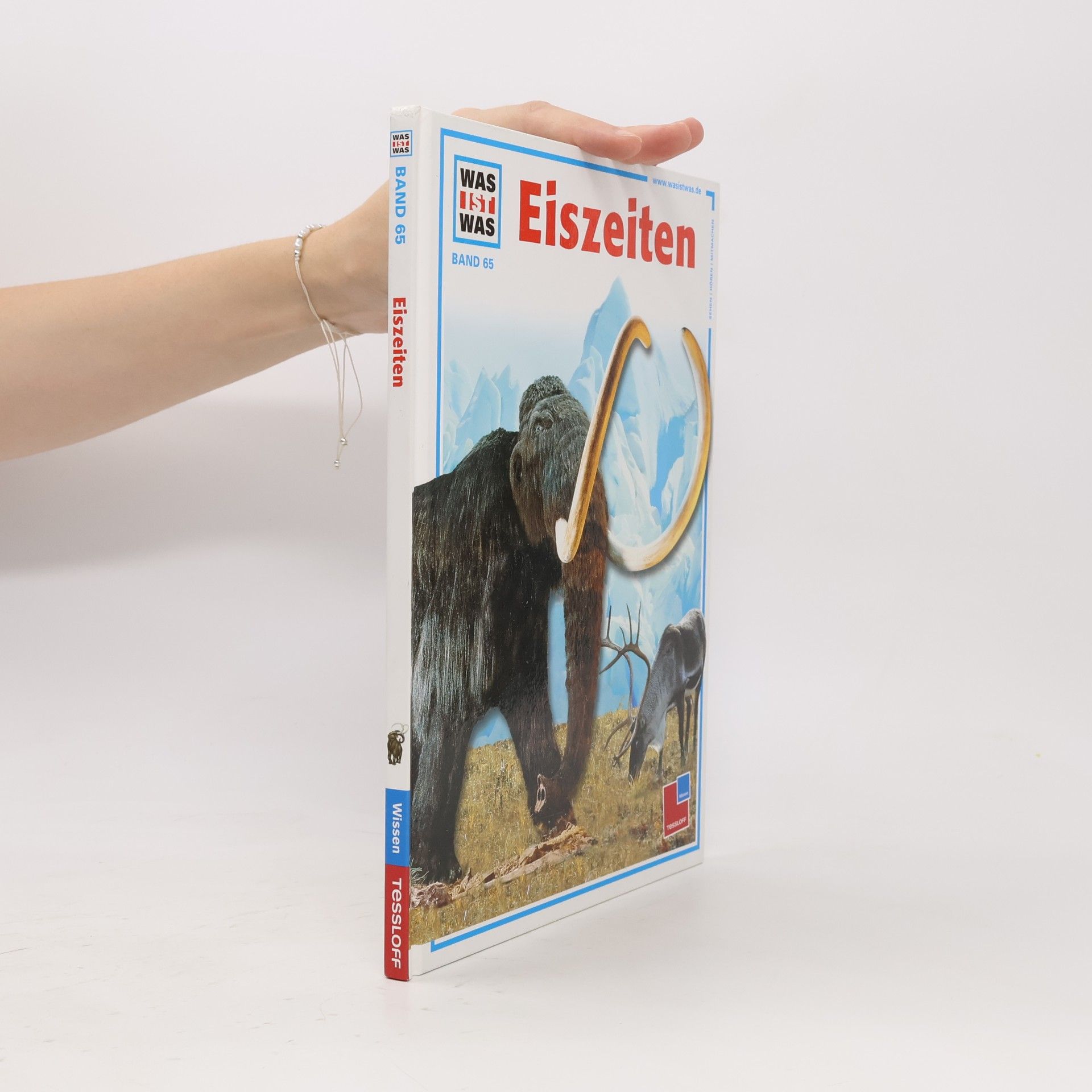 Die Eiszeit