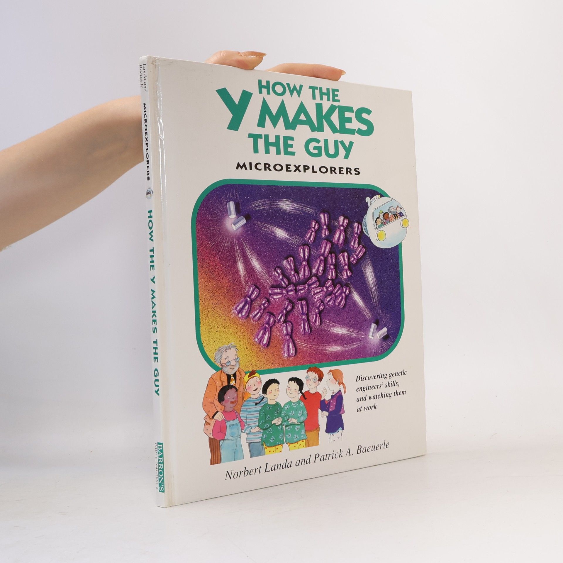 Microexplorers: How the Y Makes the Guy