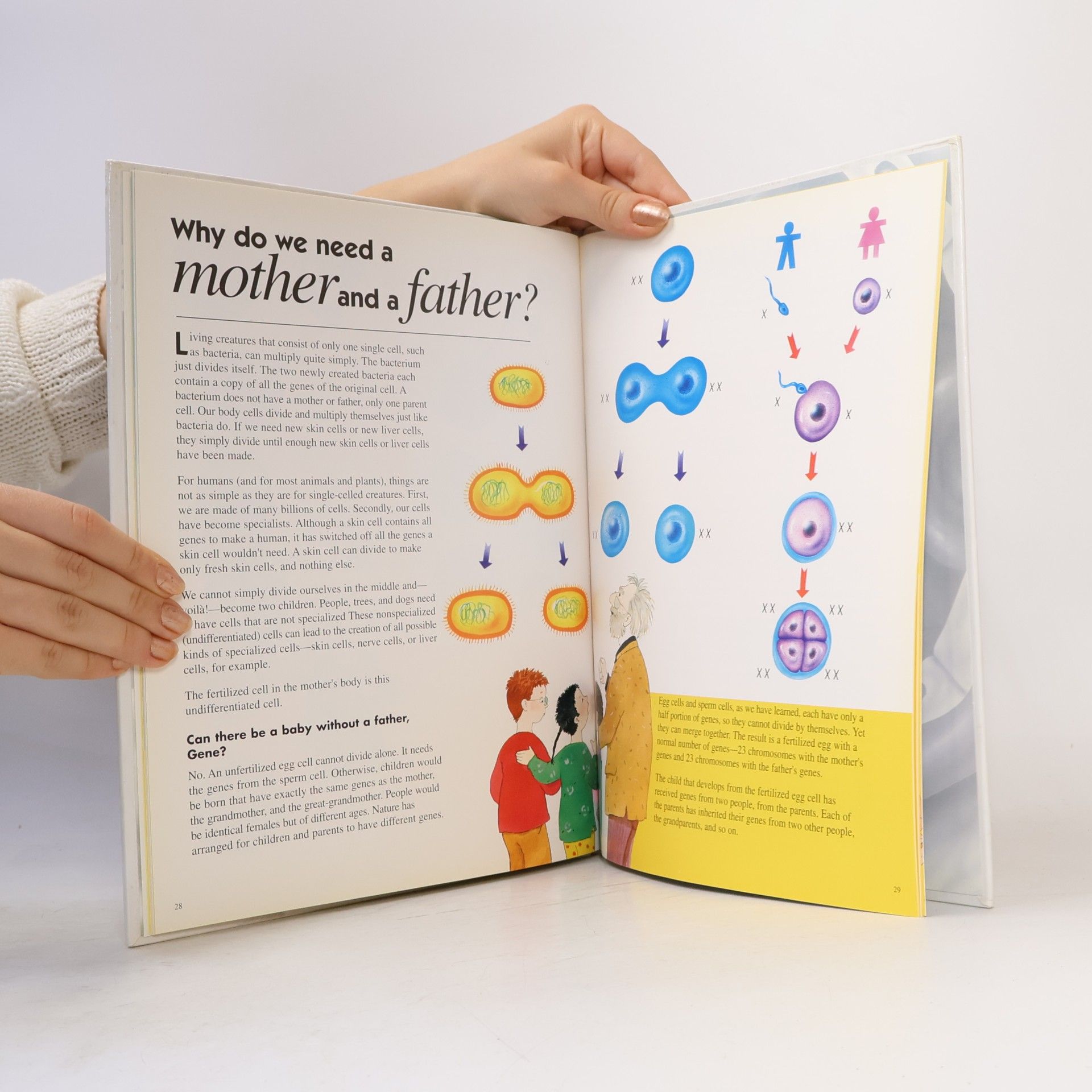 Norbert Landa Microexplorers: How the Y Makes the Guy