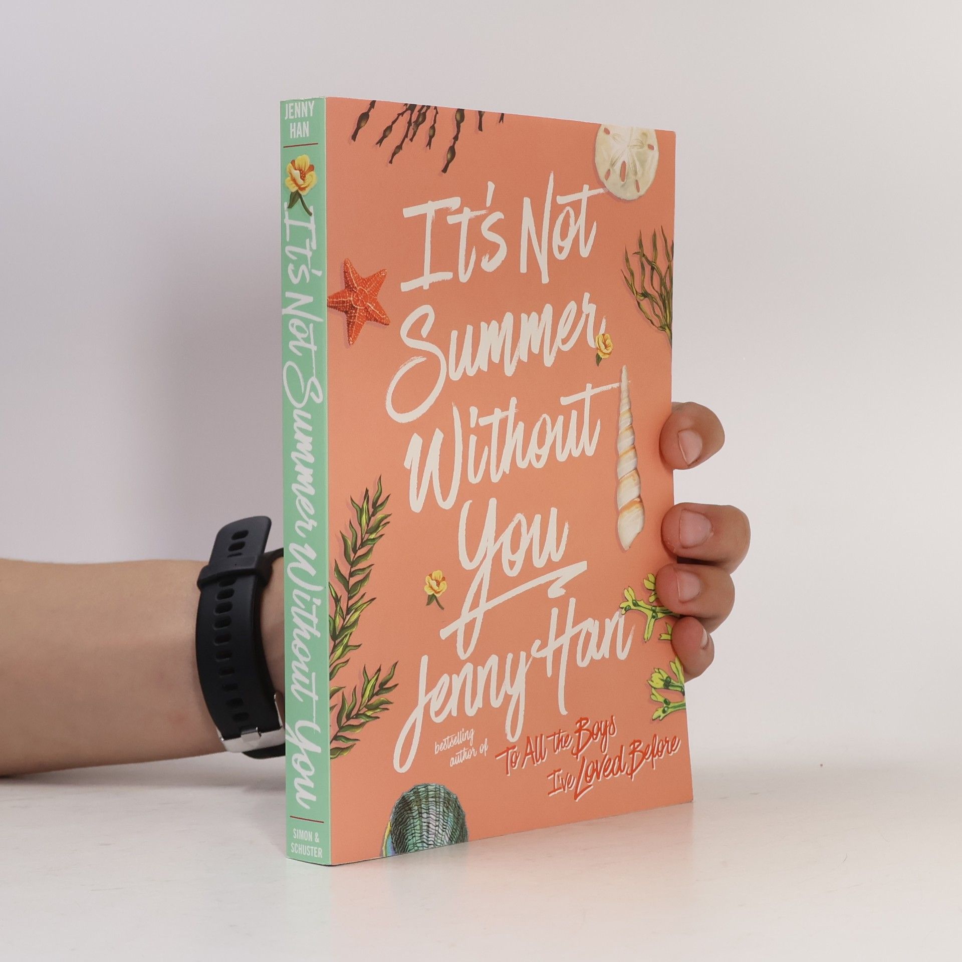 Jenny Han It's Not Summer Without You