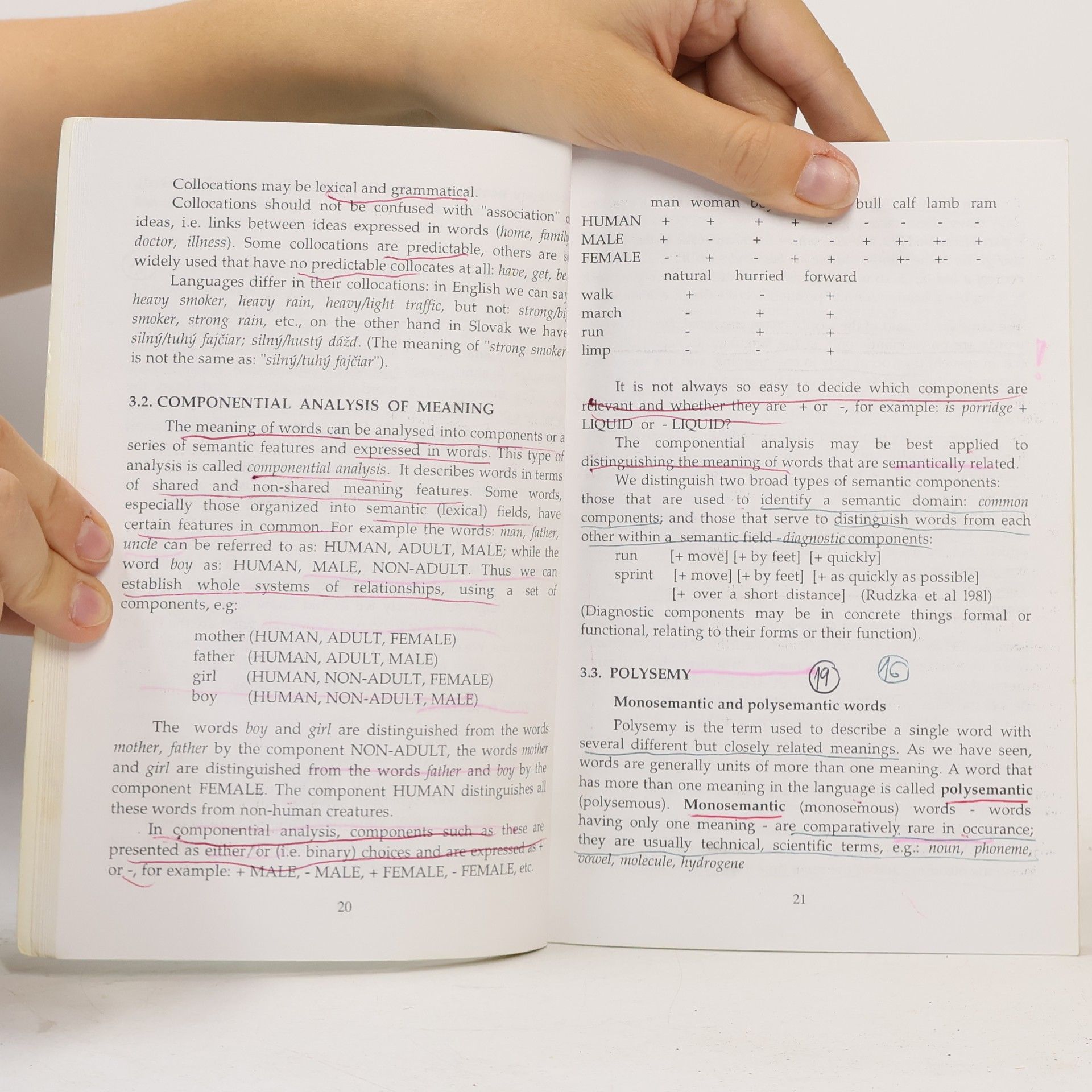 Pavol Kvetko English Lexicology
