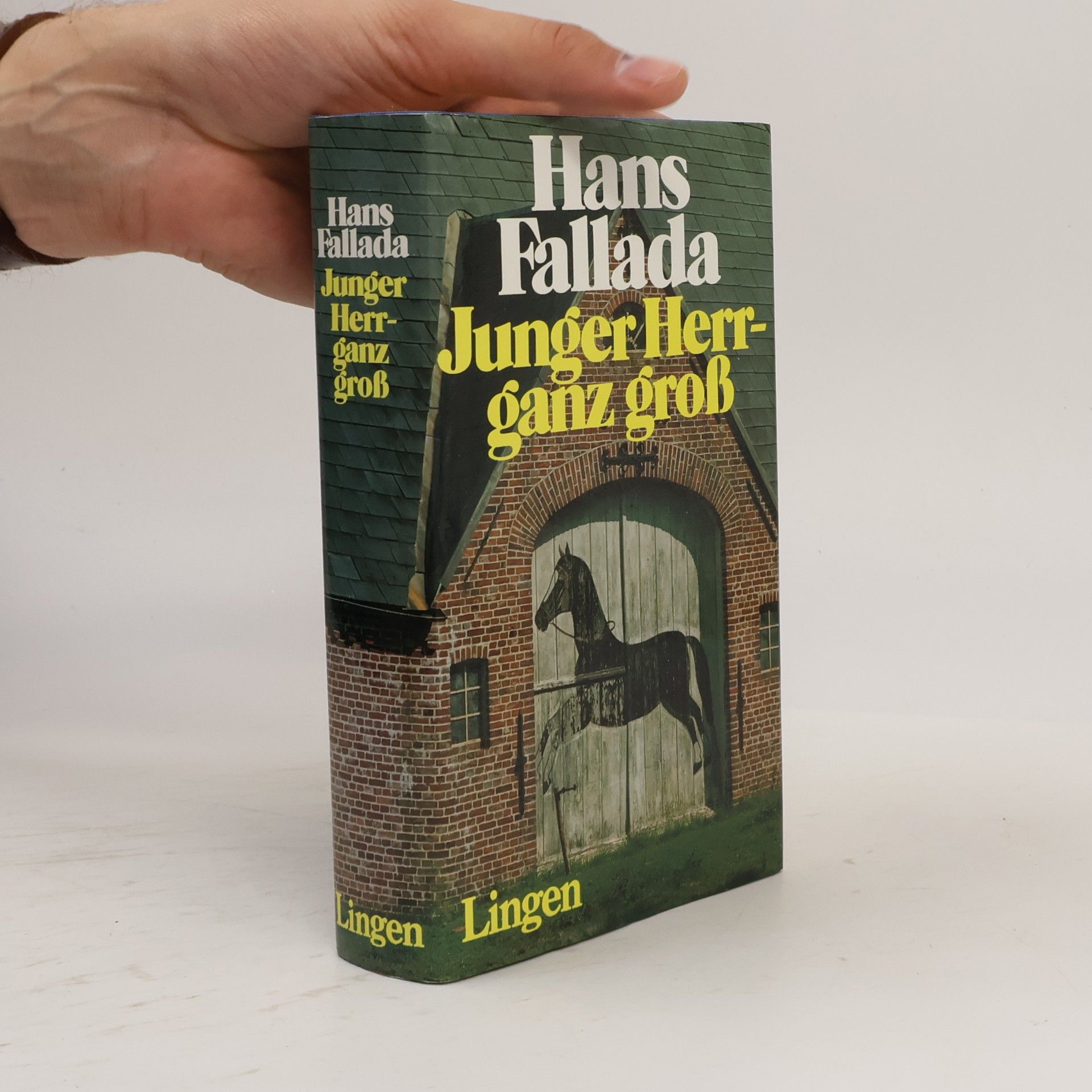 Hans Fallada Junger Herr ganz groß