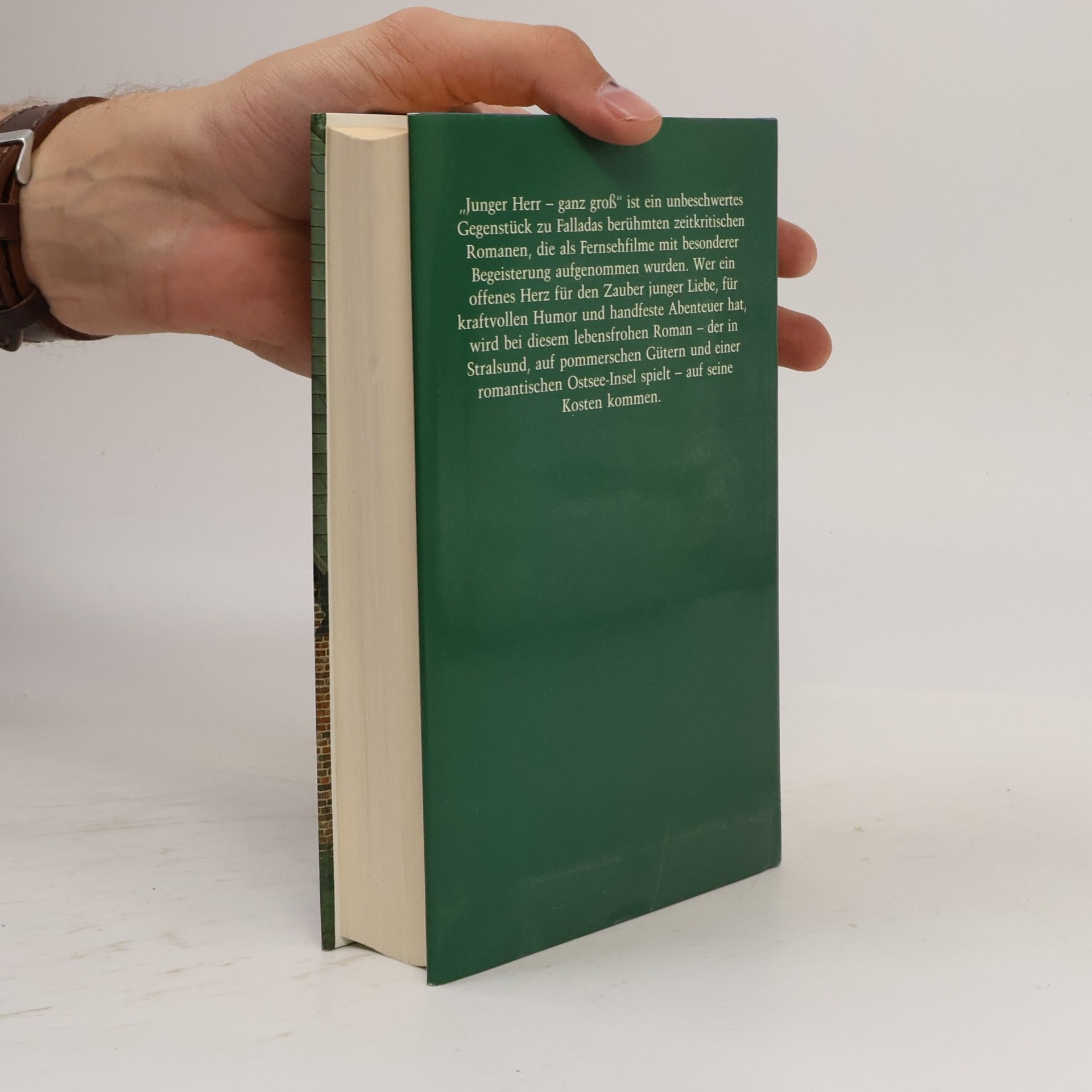 Hans Fallada Junger Herr ganz groß
