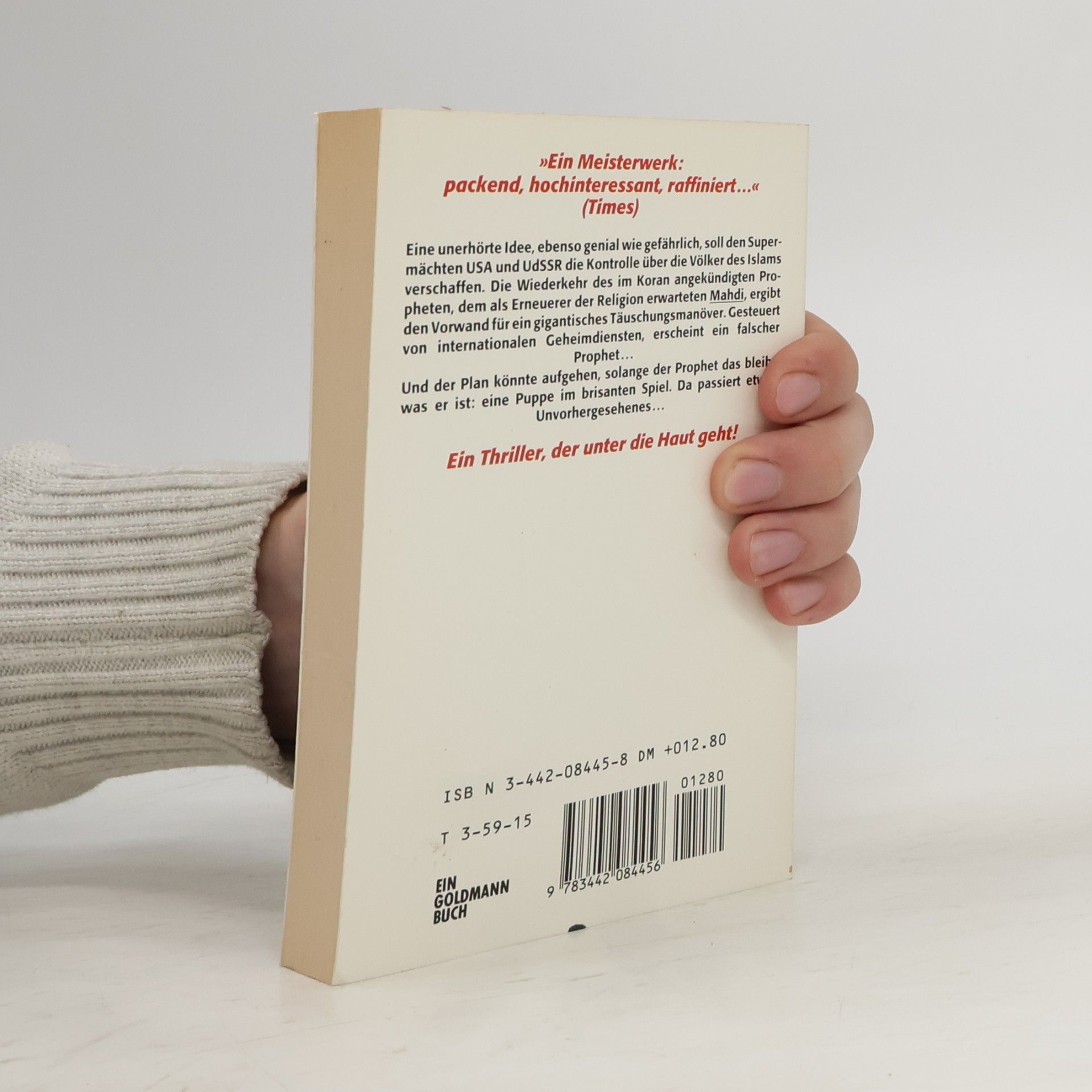 A. J. Quinnell Der falsche Mahdi