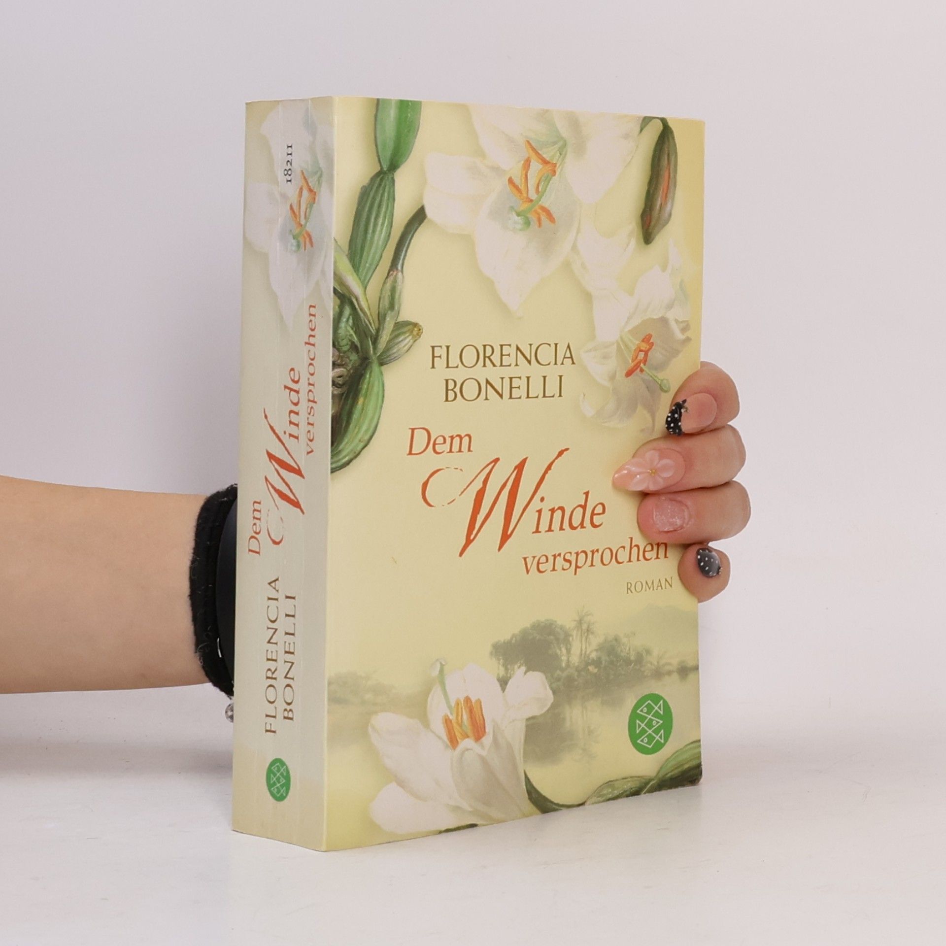 Florencia Bonelli Dem Winde versprochen