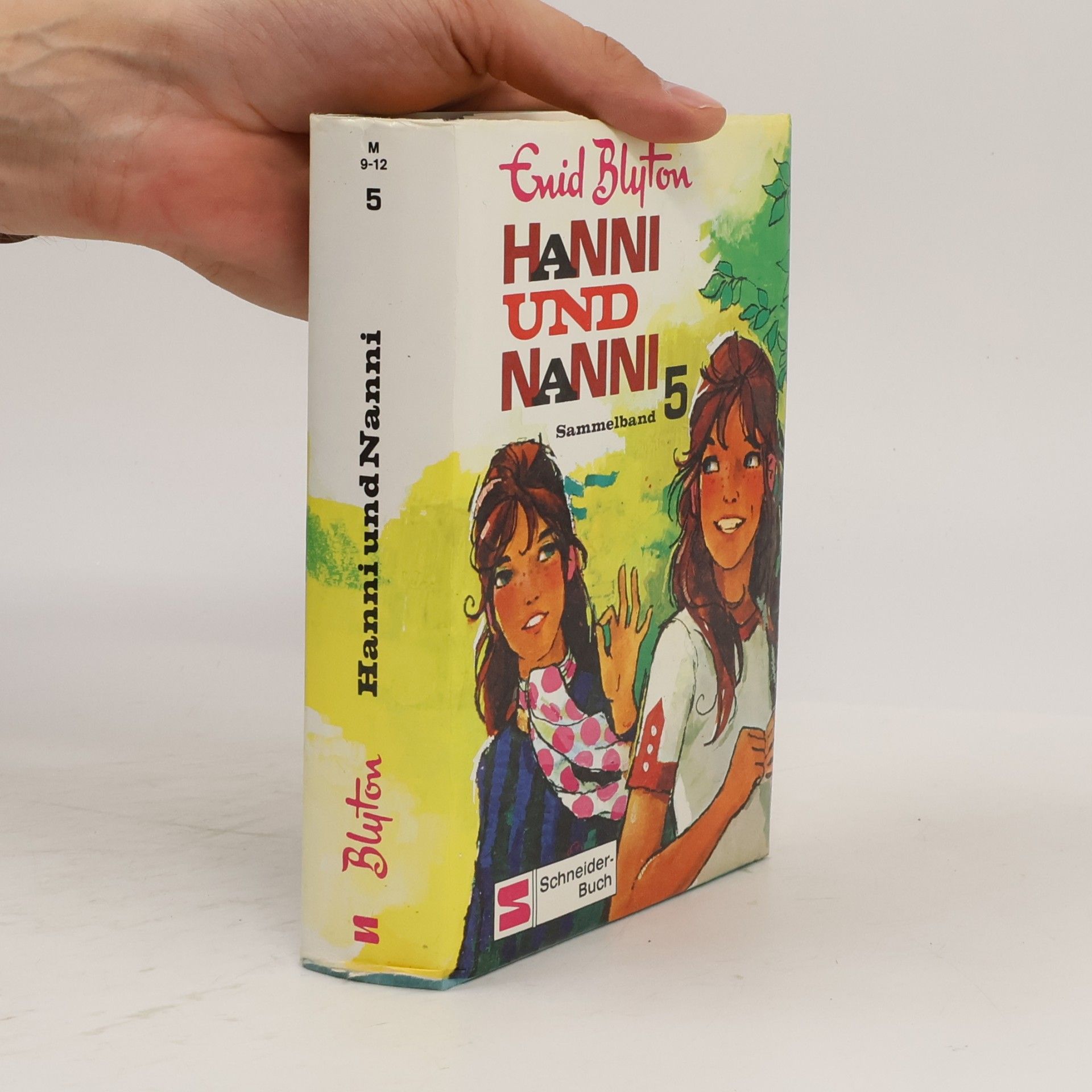 Enid Blyton Hanni und Nanni. Sammelband 5