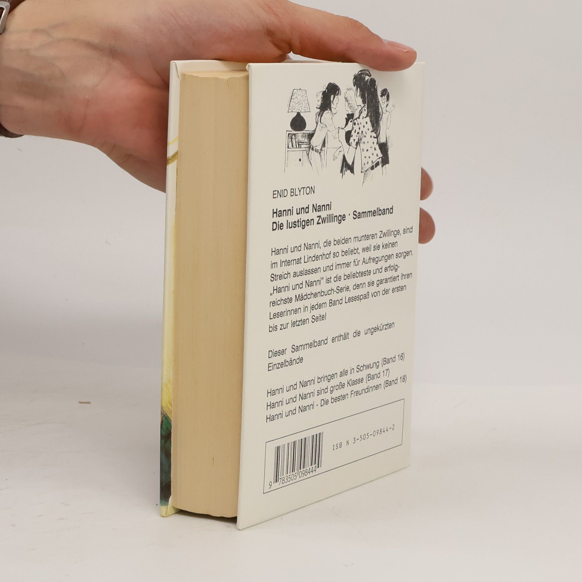 Enid Blyton Hanni und Nanni, die lustigen Zwillinge