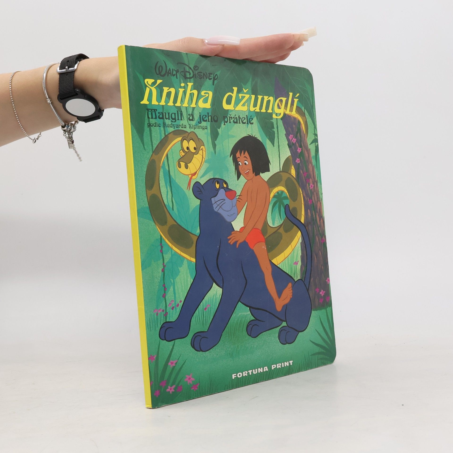 Kniha džunglí. Mauglí a jeho přátelé