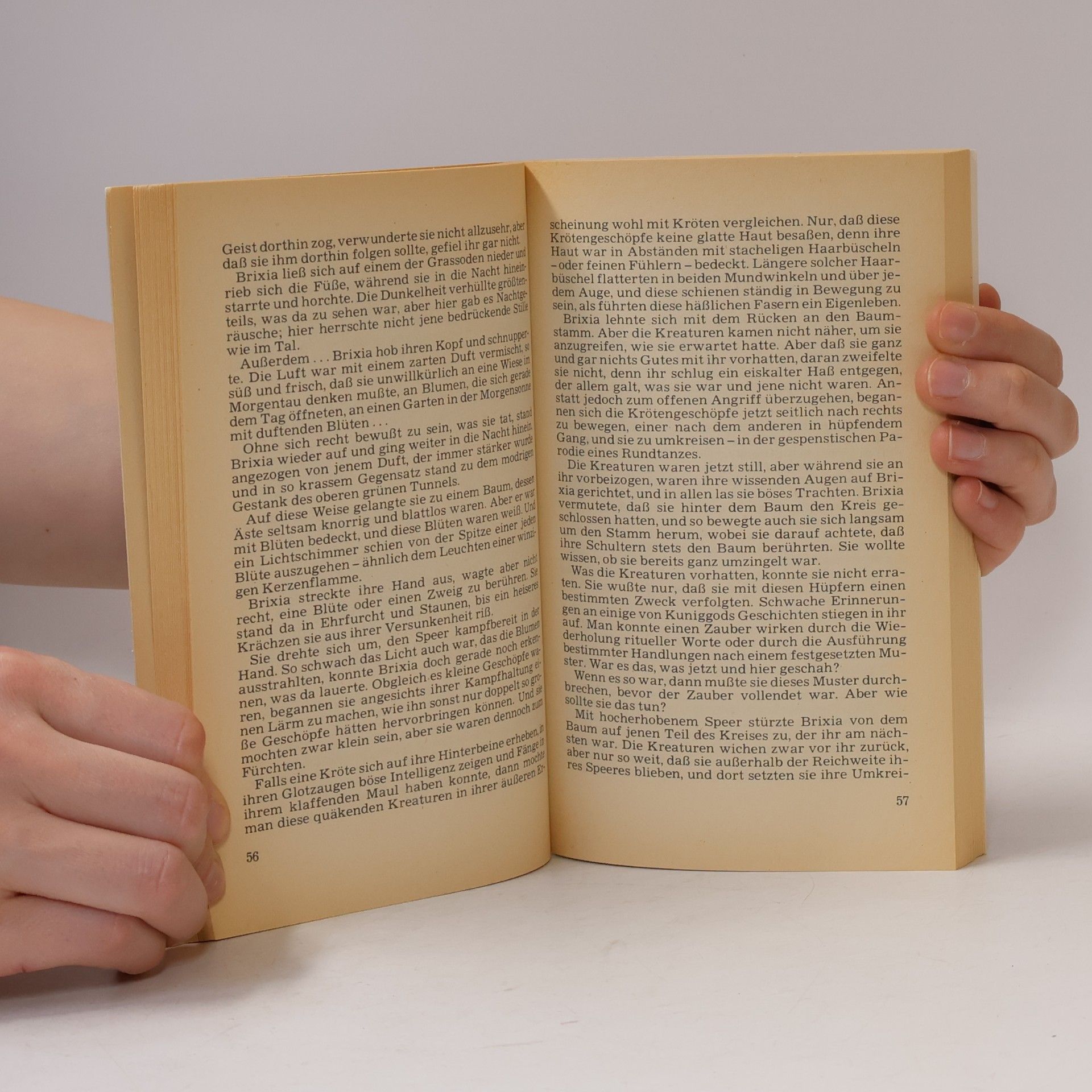 Andre Norton Terra Fantasy. Die Macht der Hexenwelt
