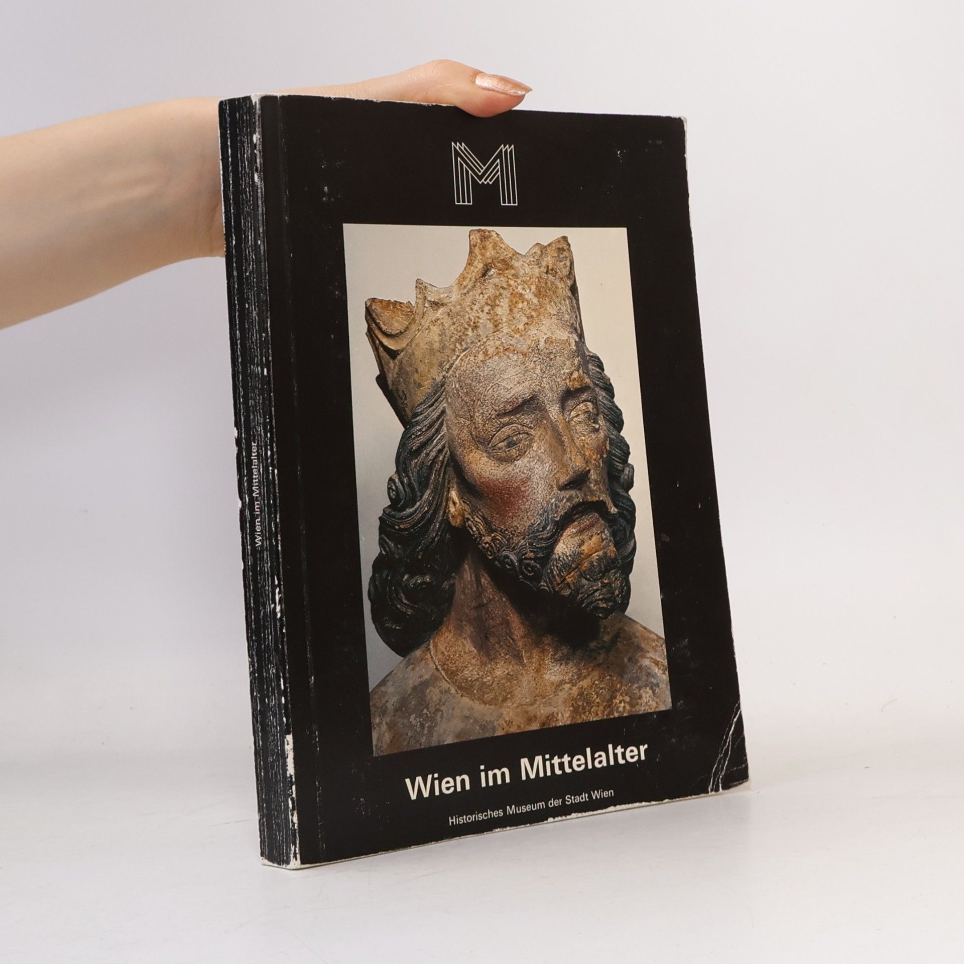 Kolektív autorov Wien im Mittelalter