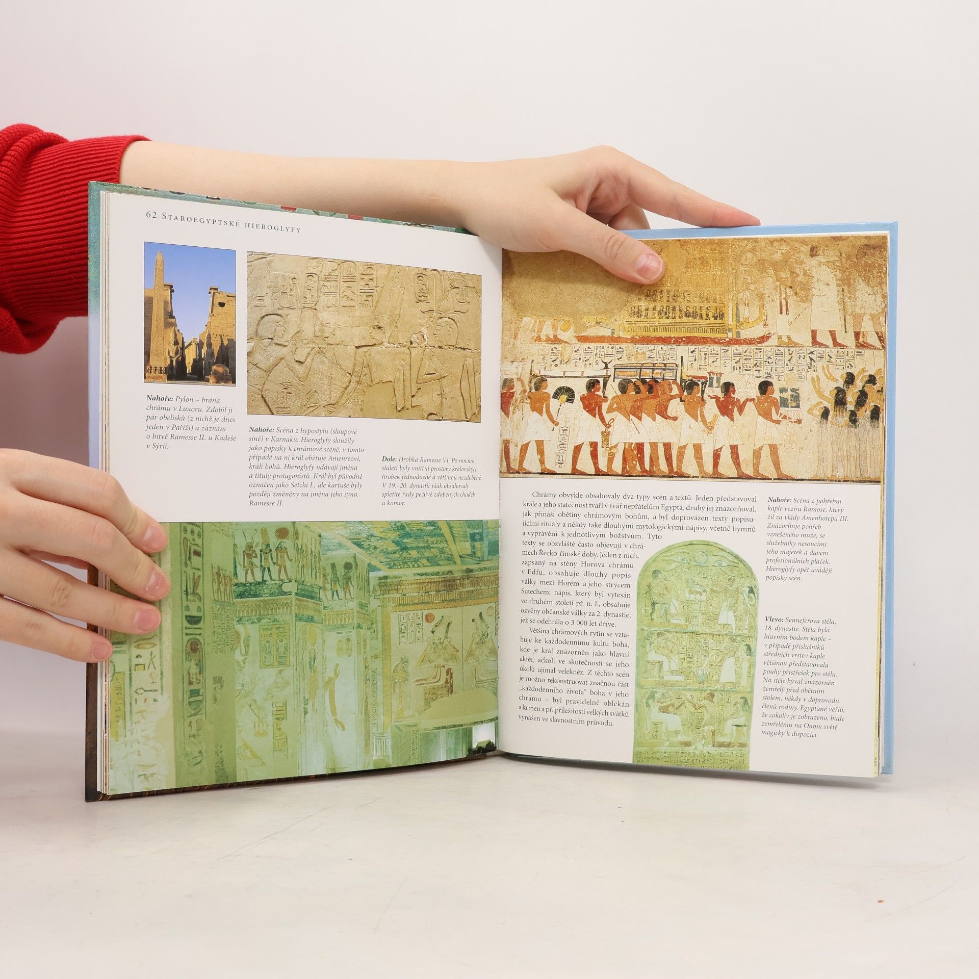 Aidan Dodson Staroegyptské hieroglyfy