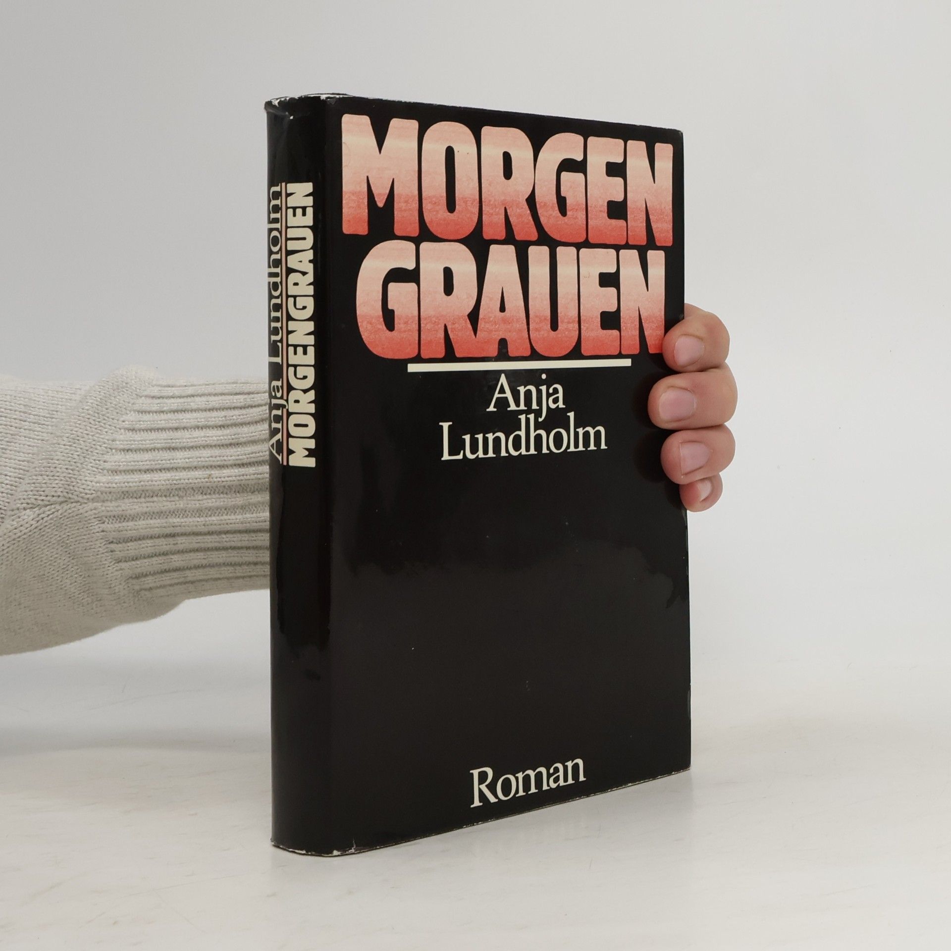 Anja Lundholm Morgengrauen