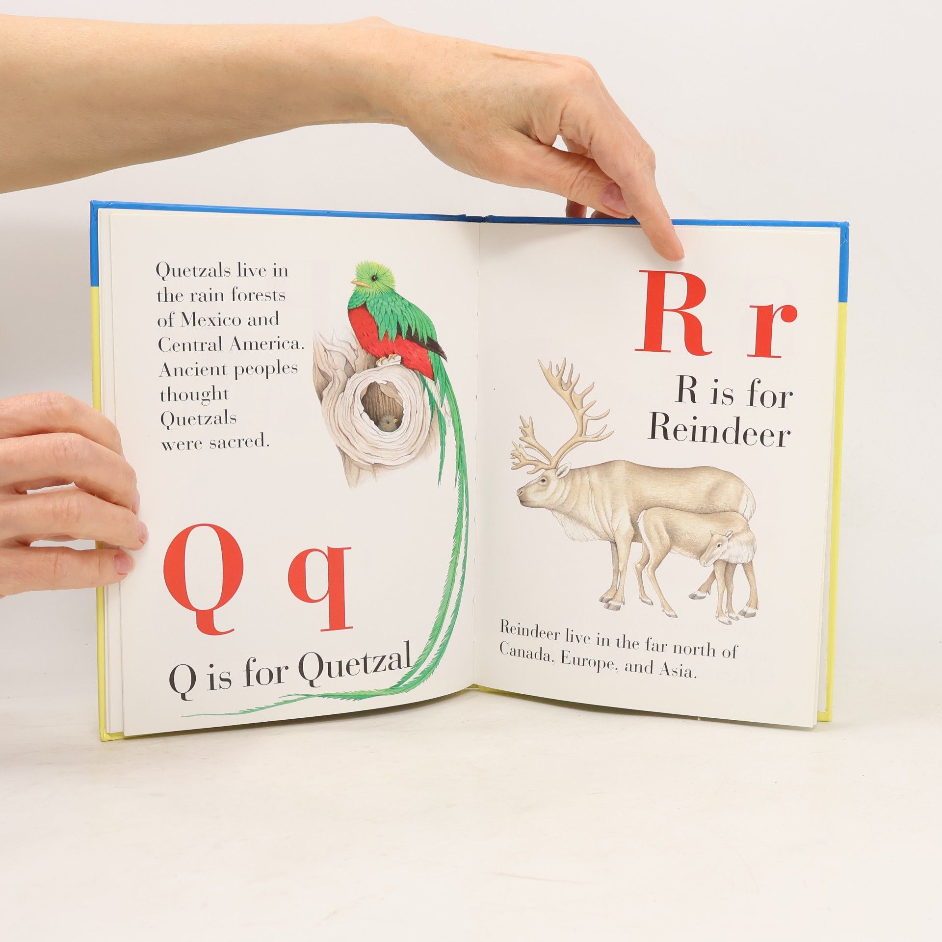 Lisa Holt My First ABC of Animals