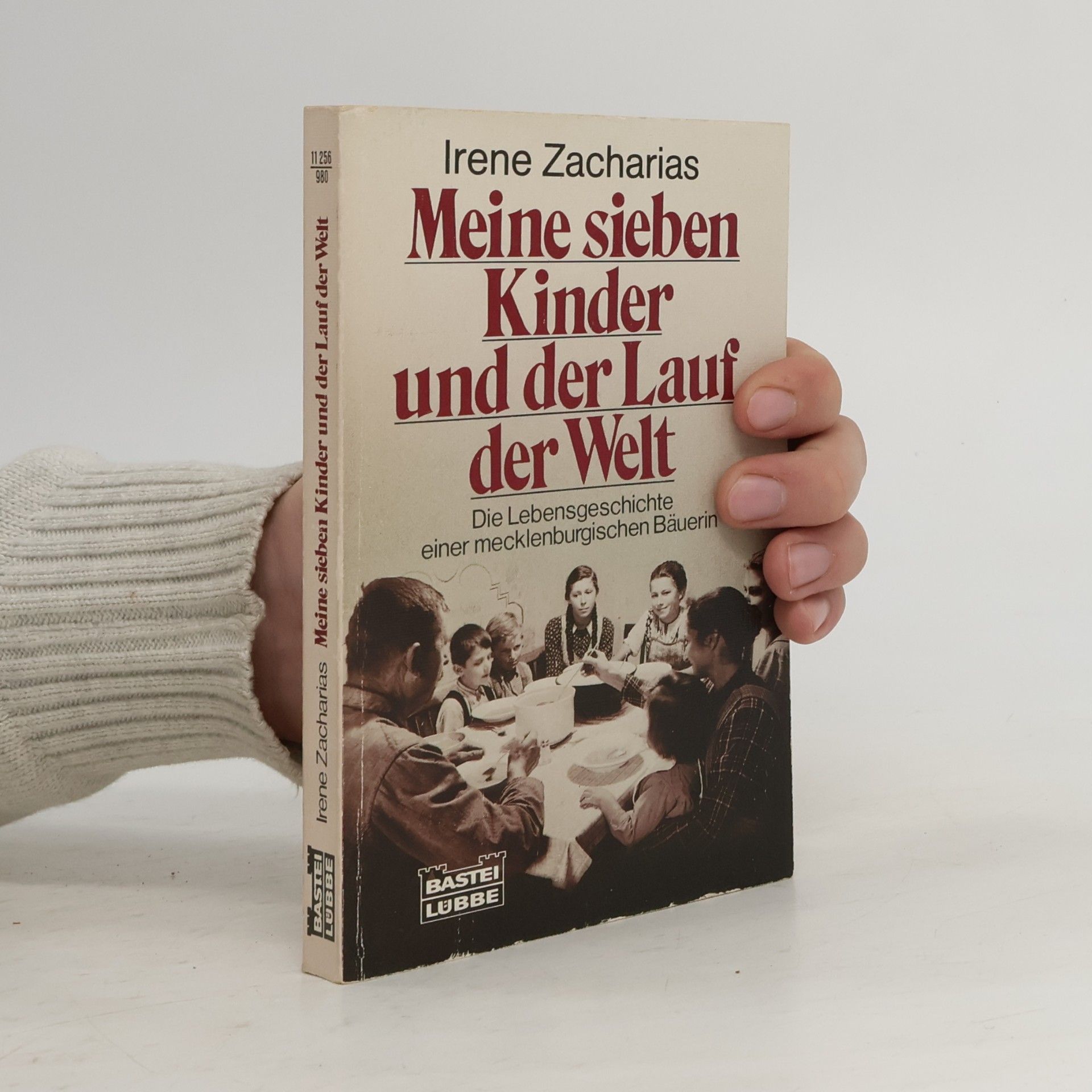 Irene Zacharias Meine sieben Kinder und der Lauf der Welt