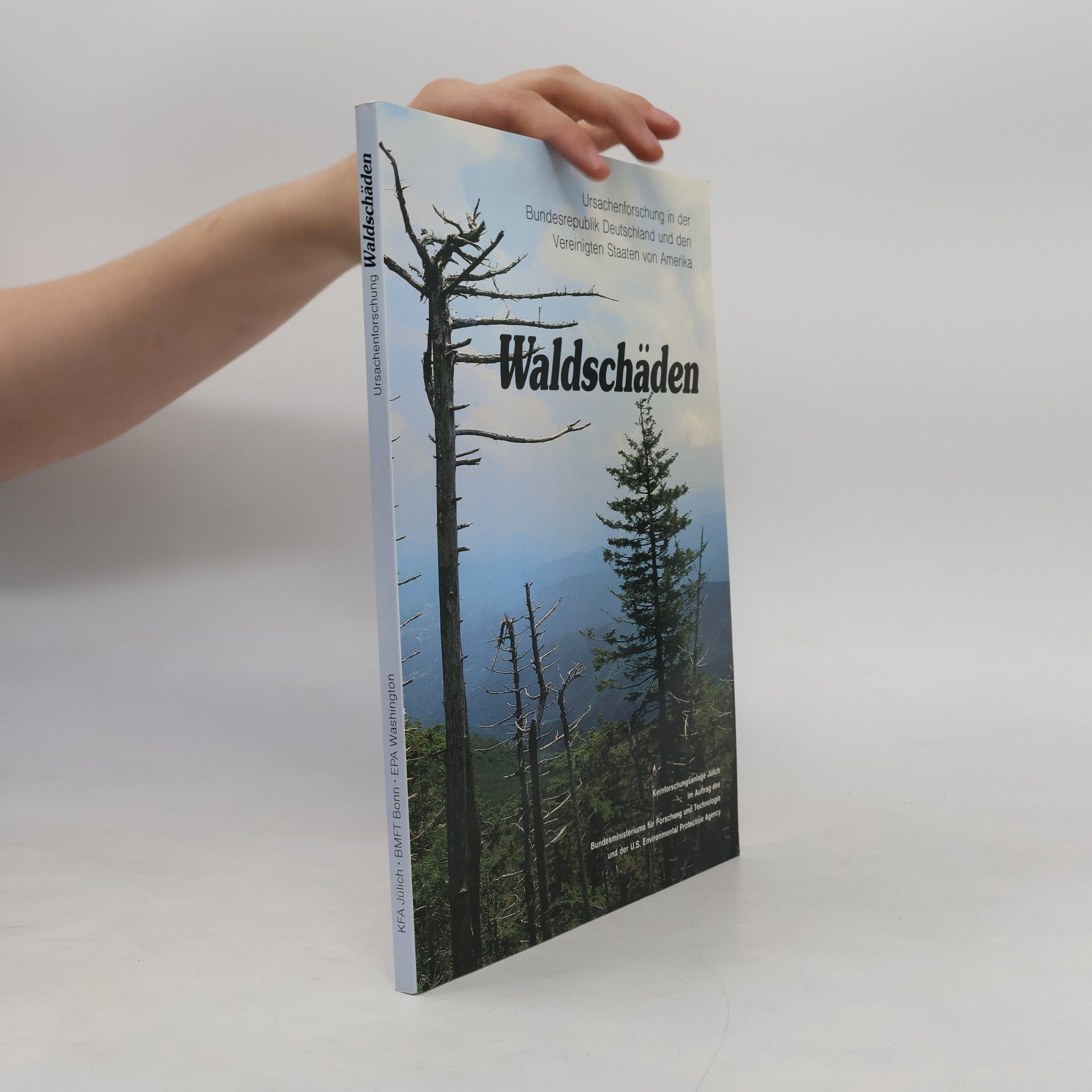 kolektiv Waldschäden