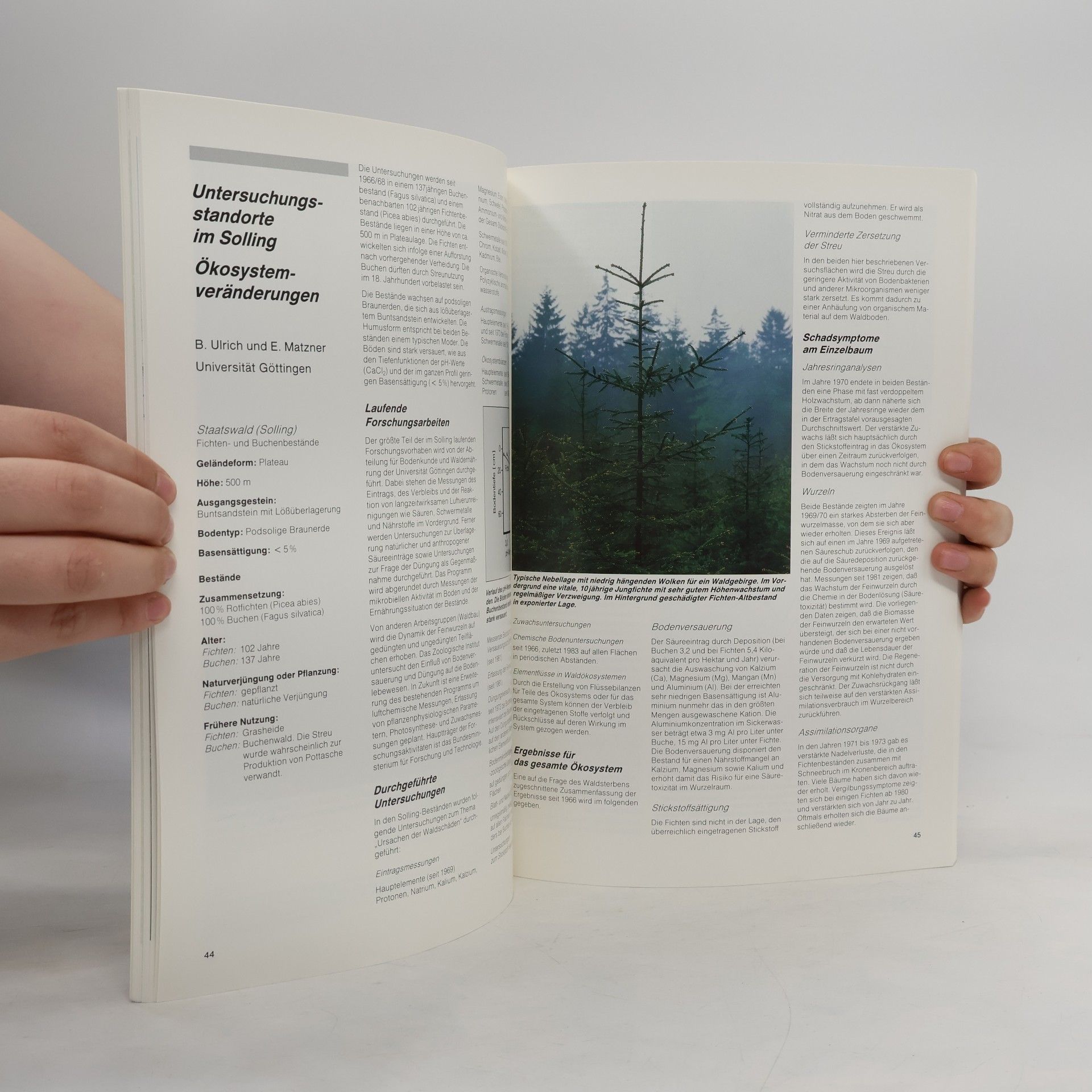 kolektiv Waldschäden