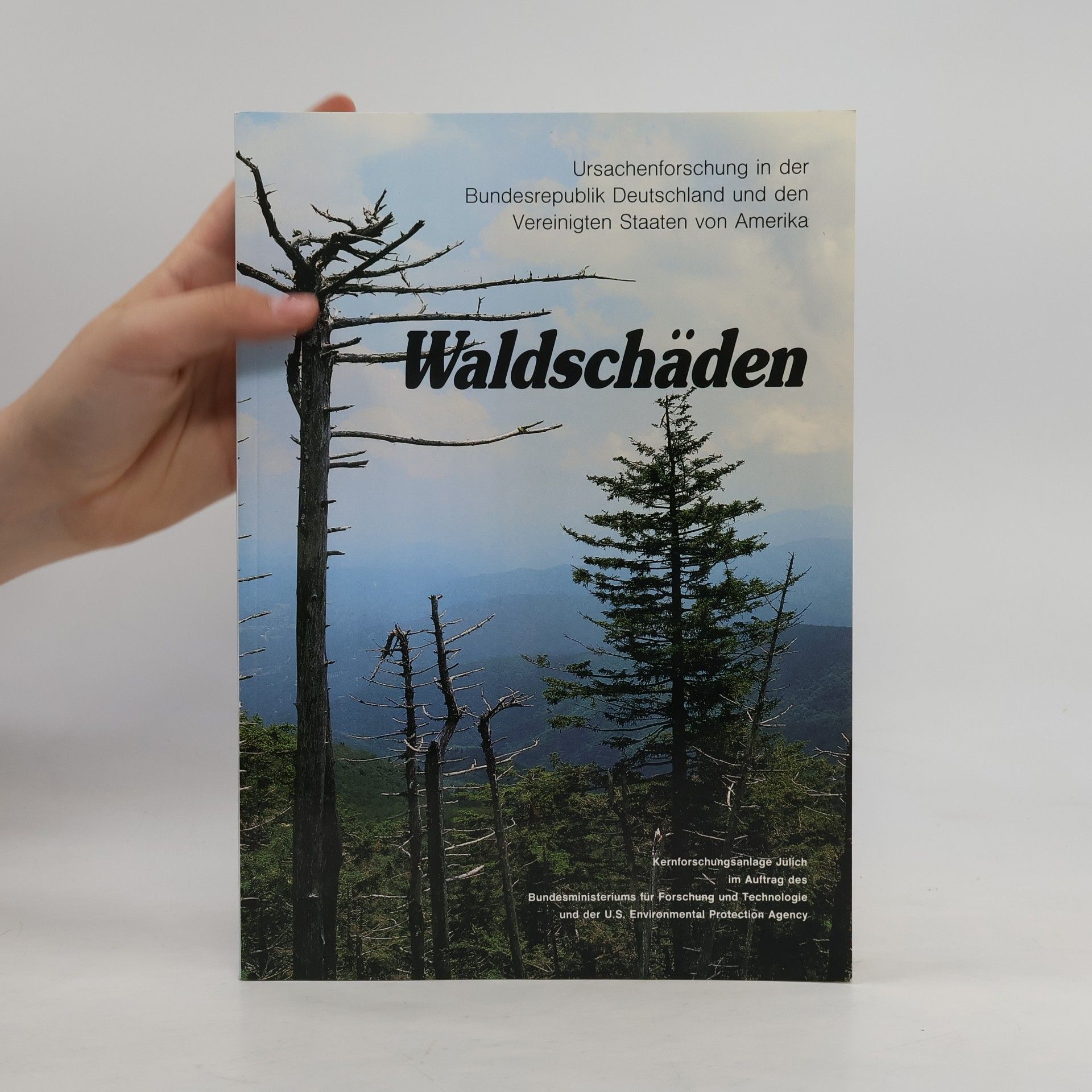 kolektiv Waldschäden
