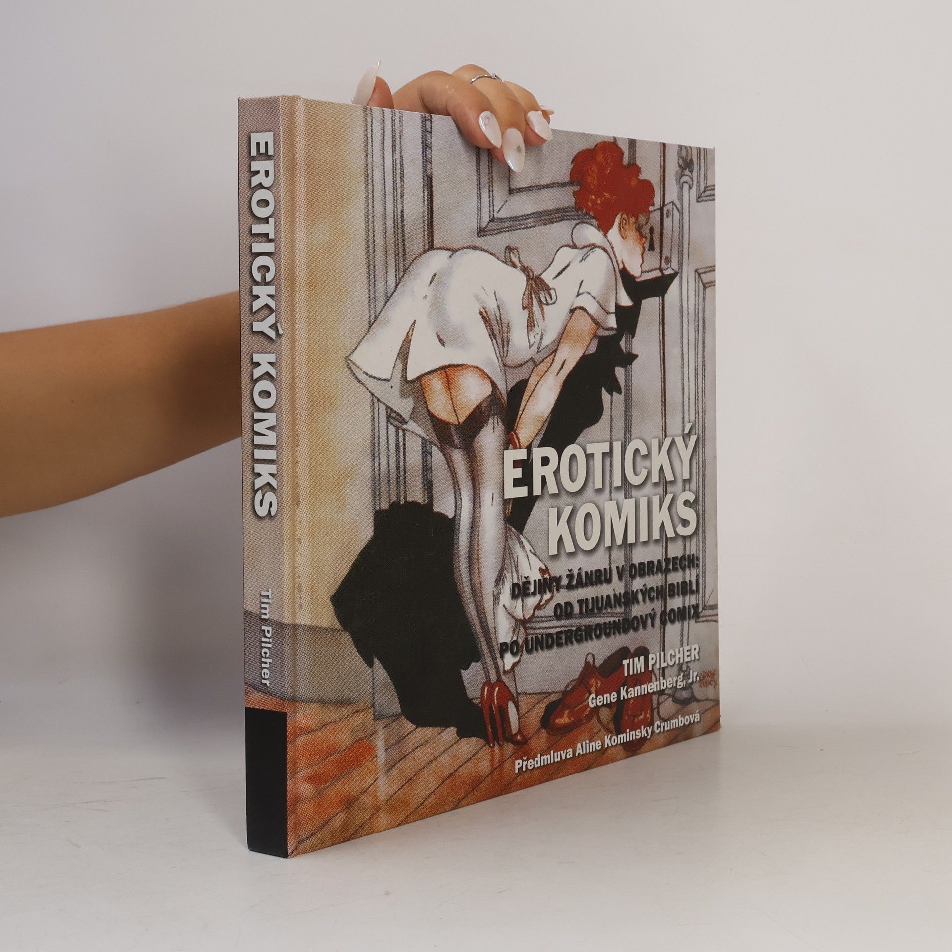 Tim Pilcher Erotický komiks: Dějiny žánru v obrazech