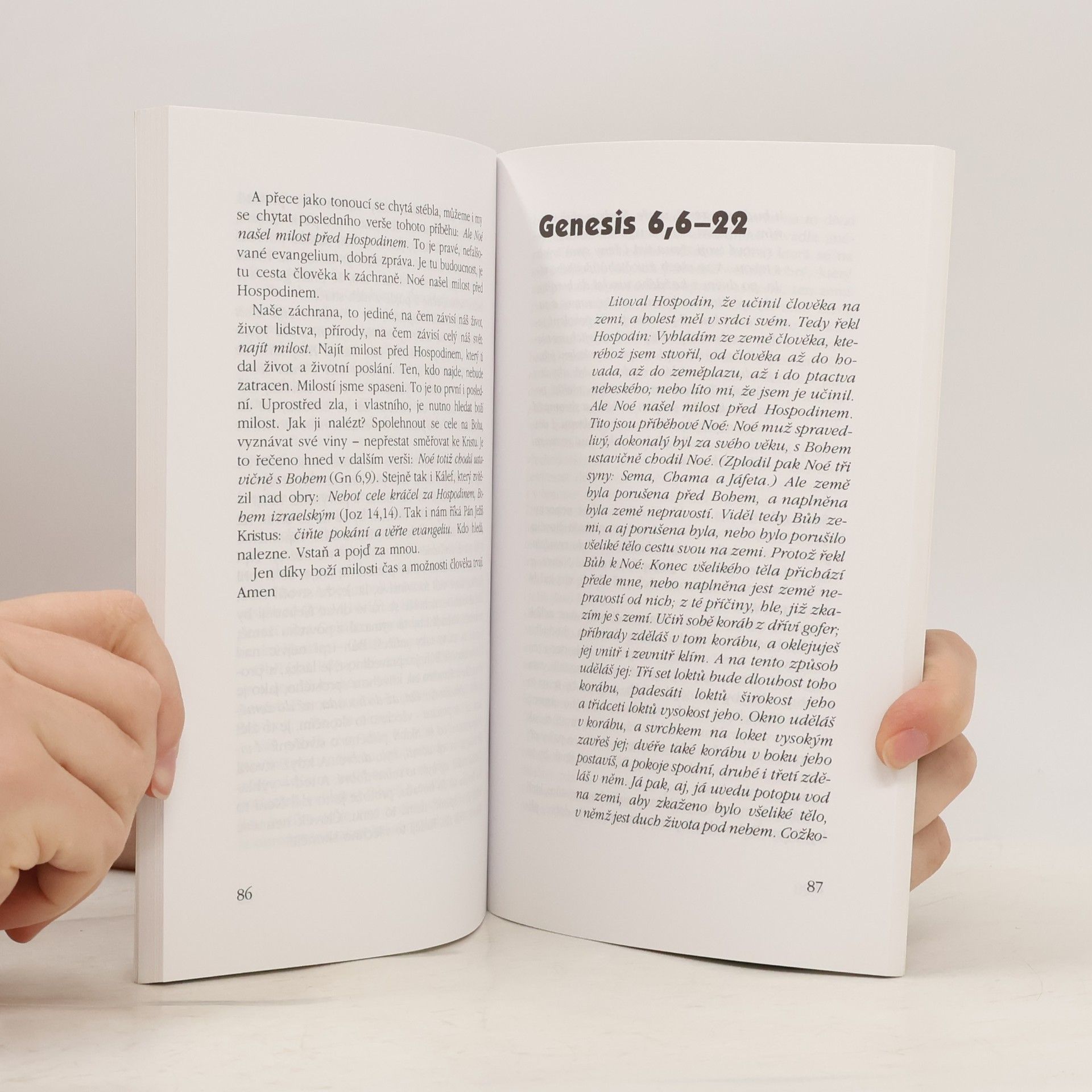 Štěpán Hájek Příběhy nových počátků - třiadvacet kázání na první kapitoly Bible