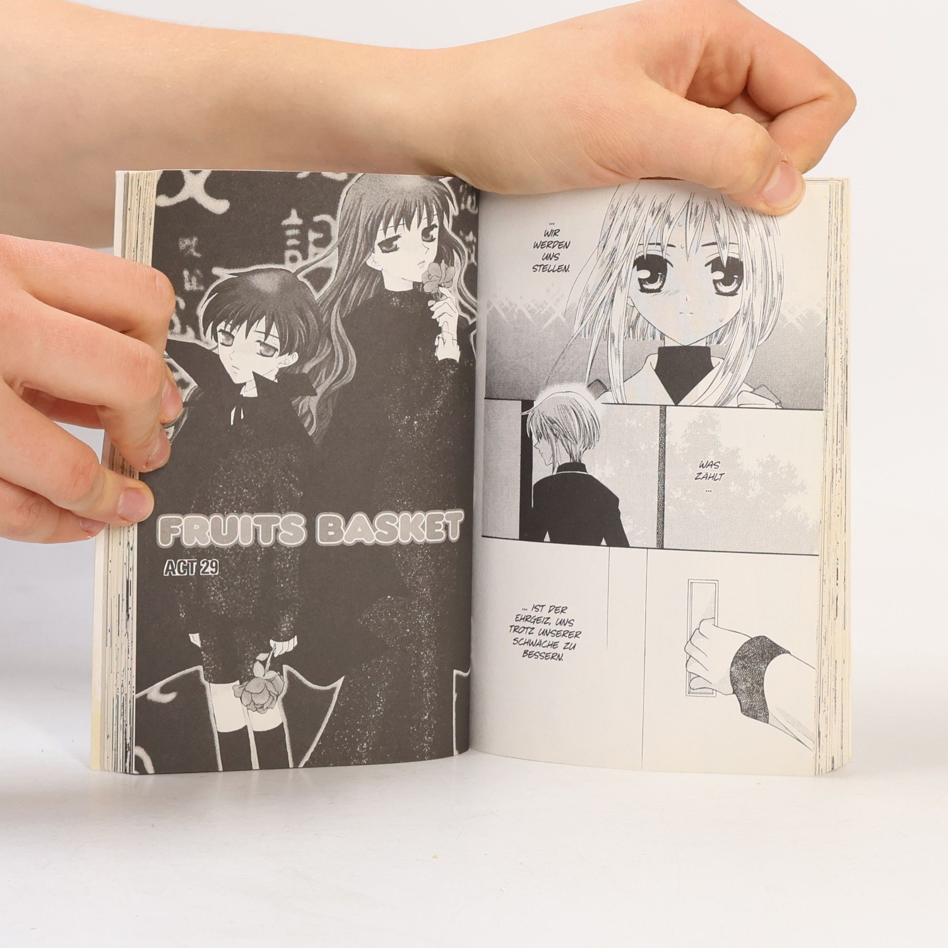 Natsuki Takaya Fruits basket 5