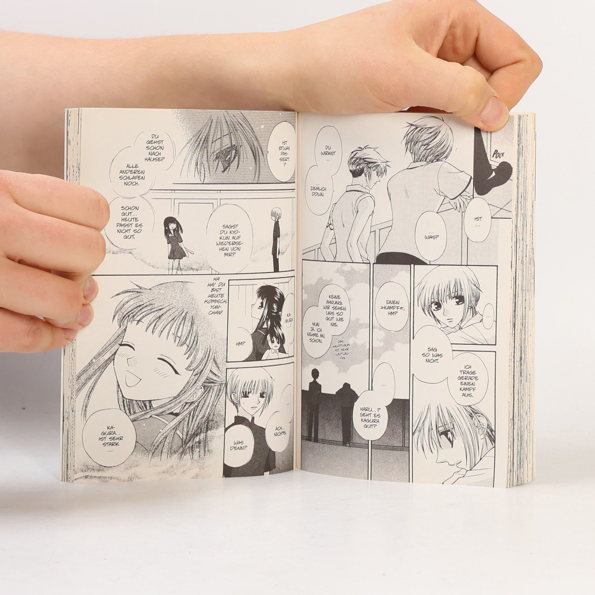 Natsuki Takaya Fruits basket 6